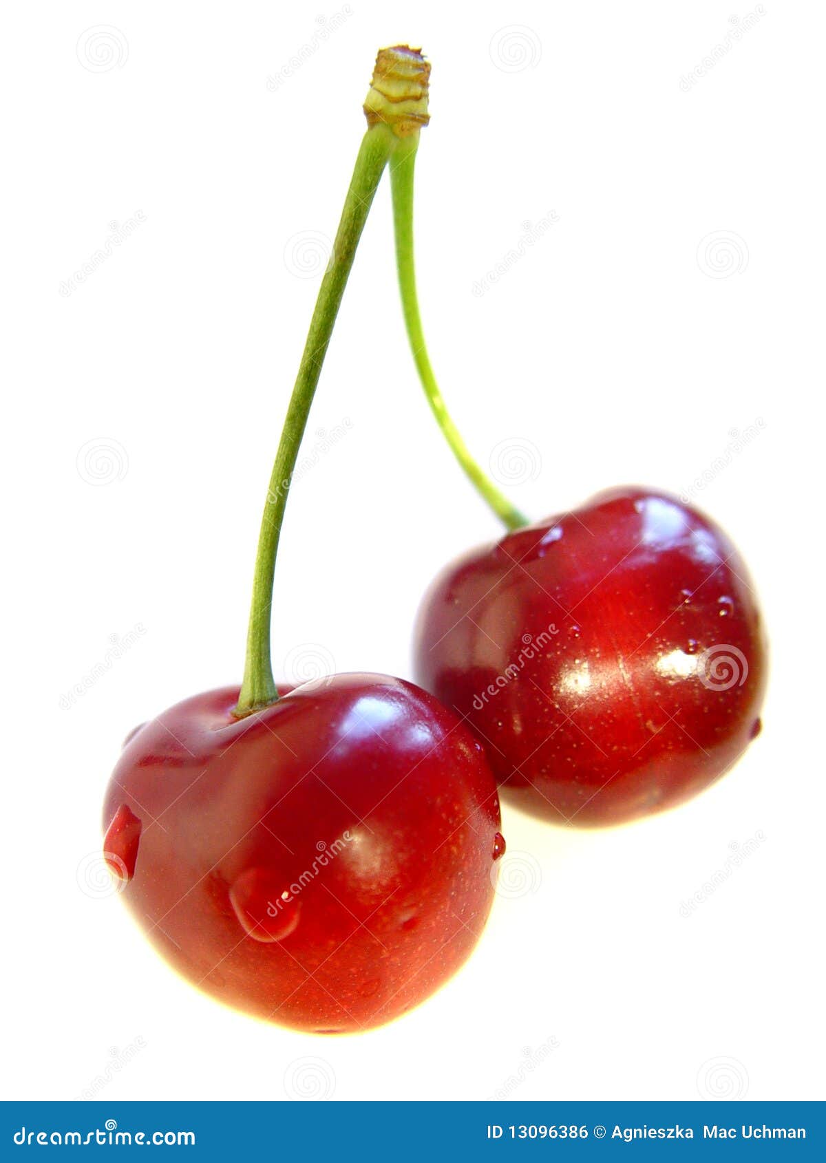 Cherry stock photo. Image of honeyed, vitamins, lustiness - 13096386