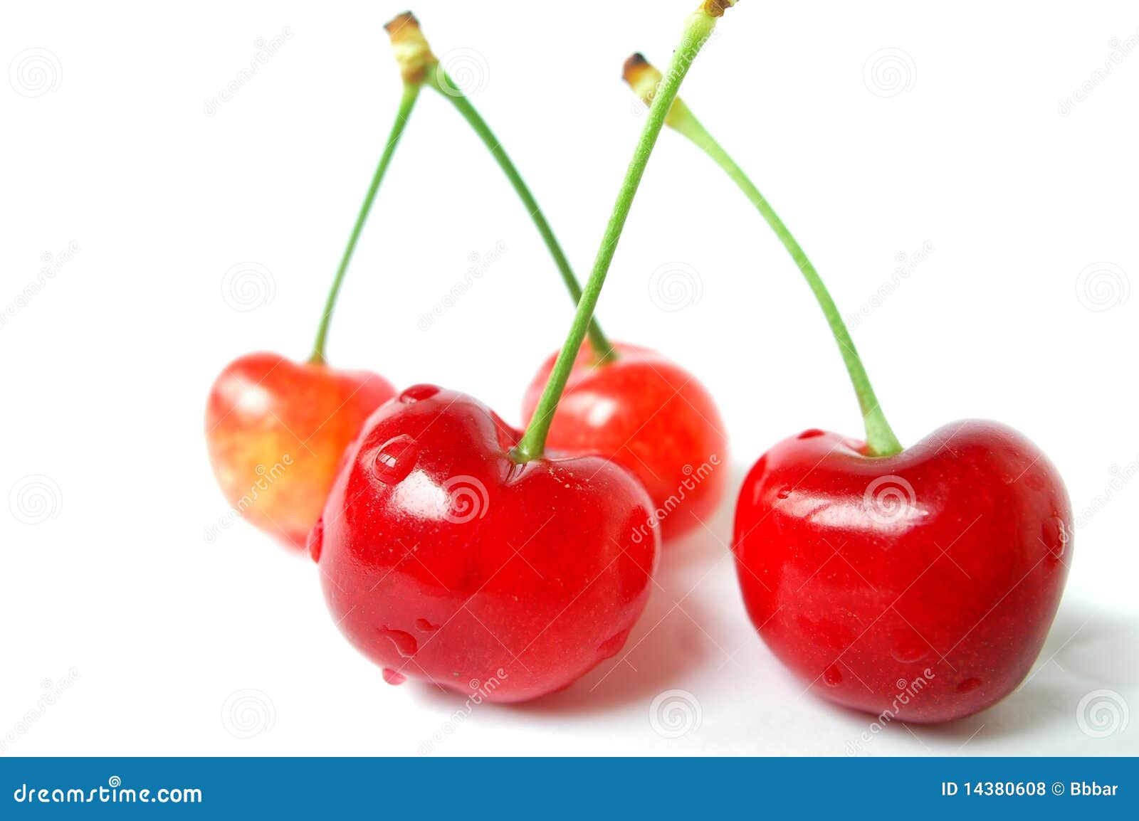 Cherry stock photo. Image of nature, colorful, macro 14380608