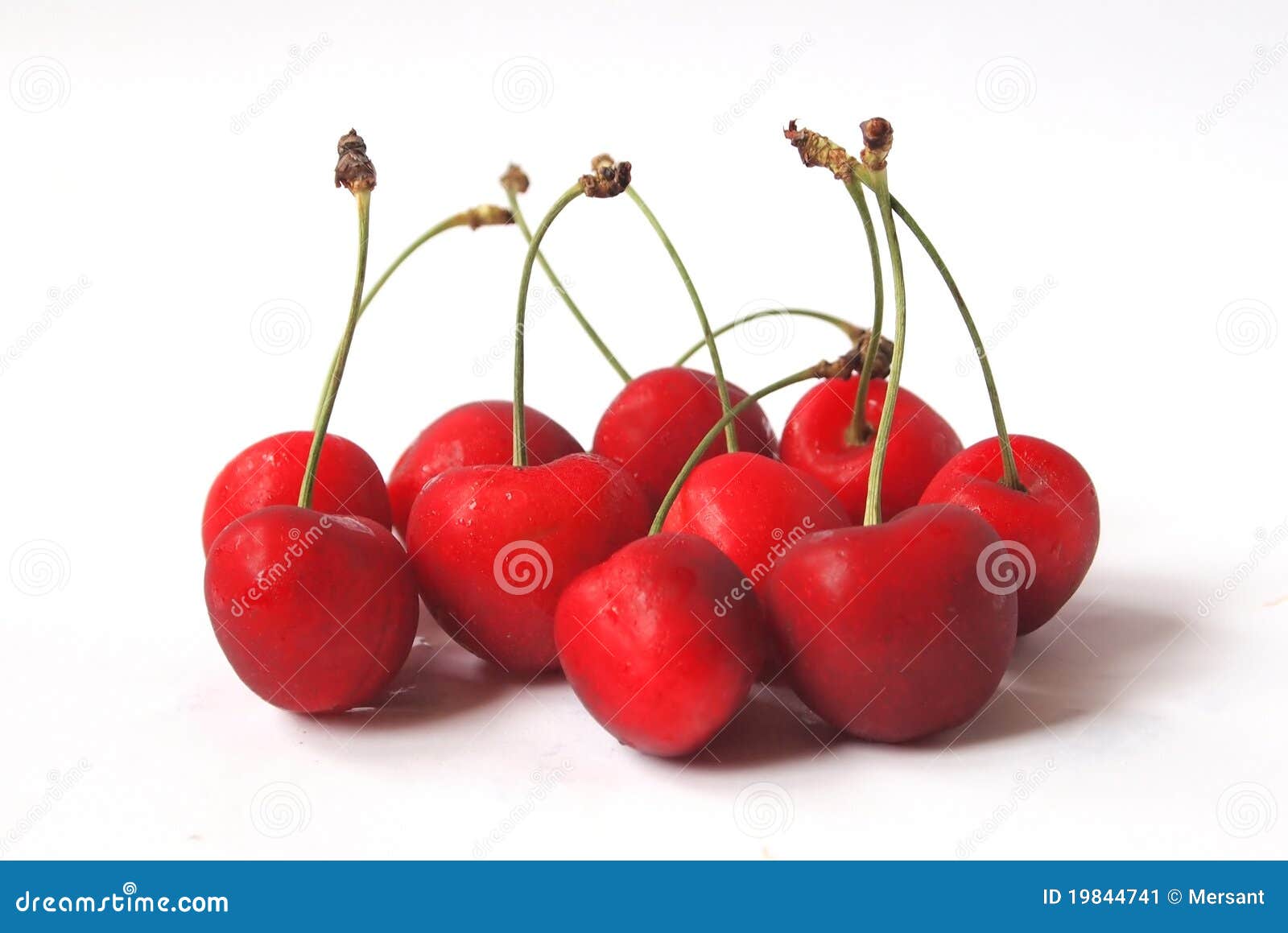Cherry stock image. Image of fruit, eating, nature, agriculture - 19844741