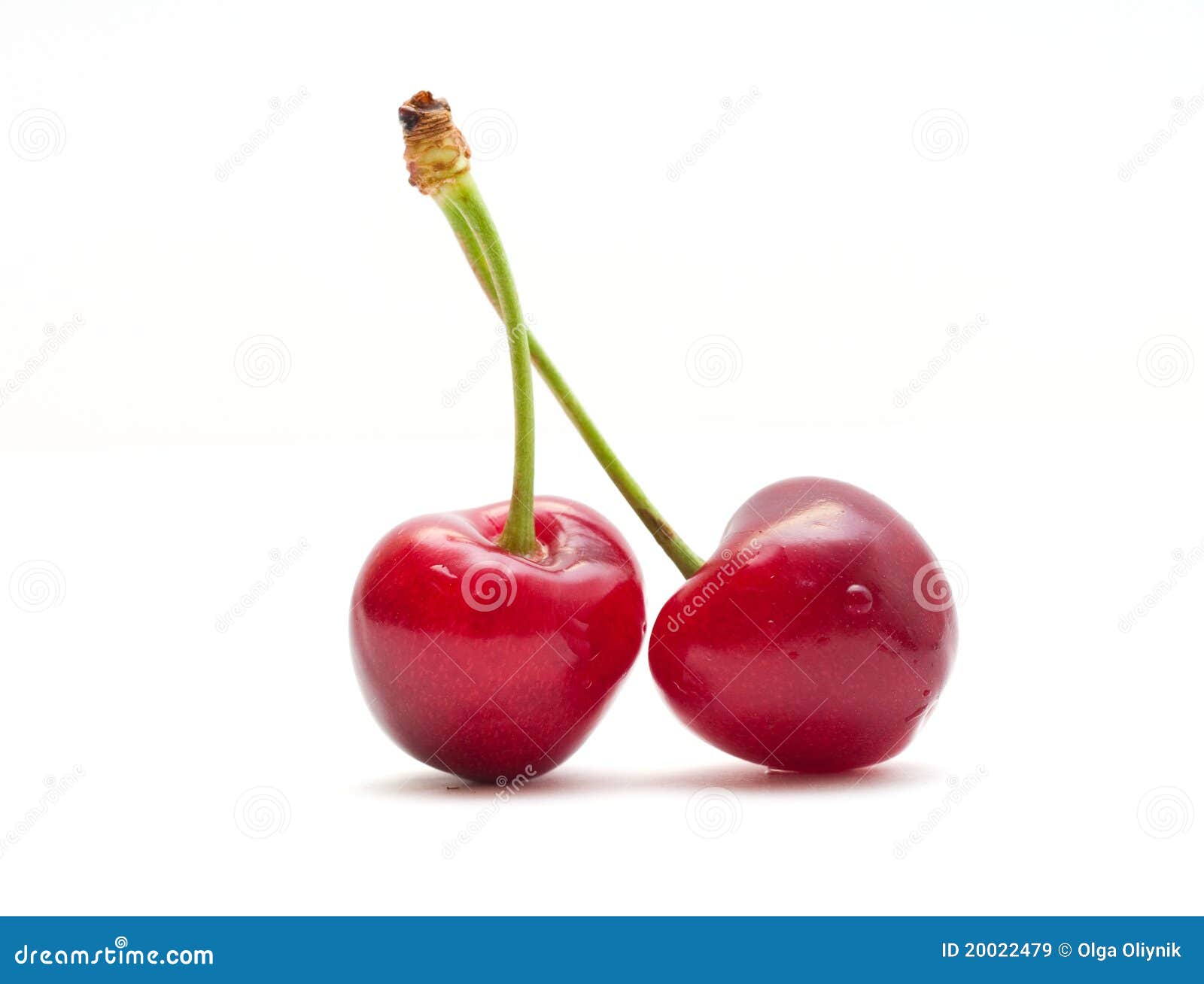 Cherry stock image. Image of acetous, fragrance, frond - 20022479