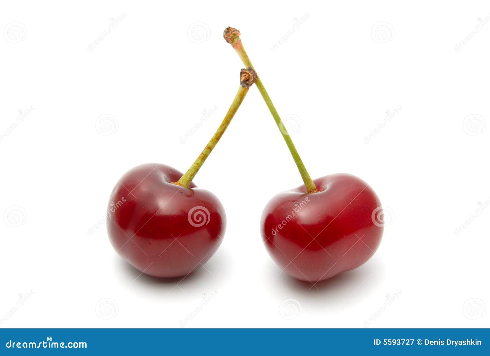 Cherry stock image. Image of nature, nutrient, color, freshness - 5593727