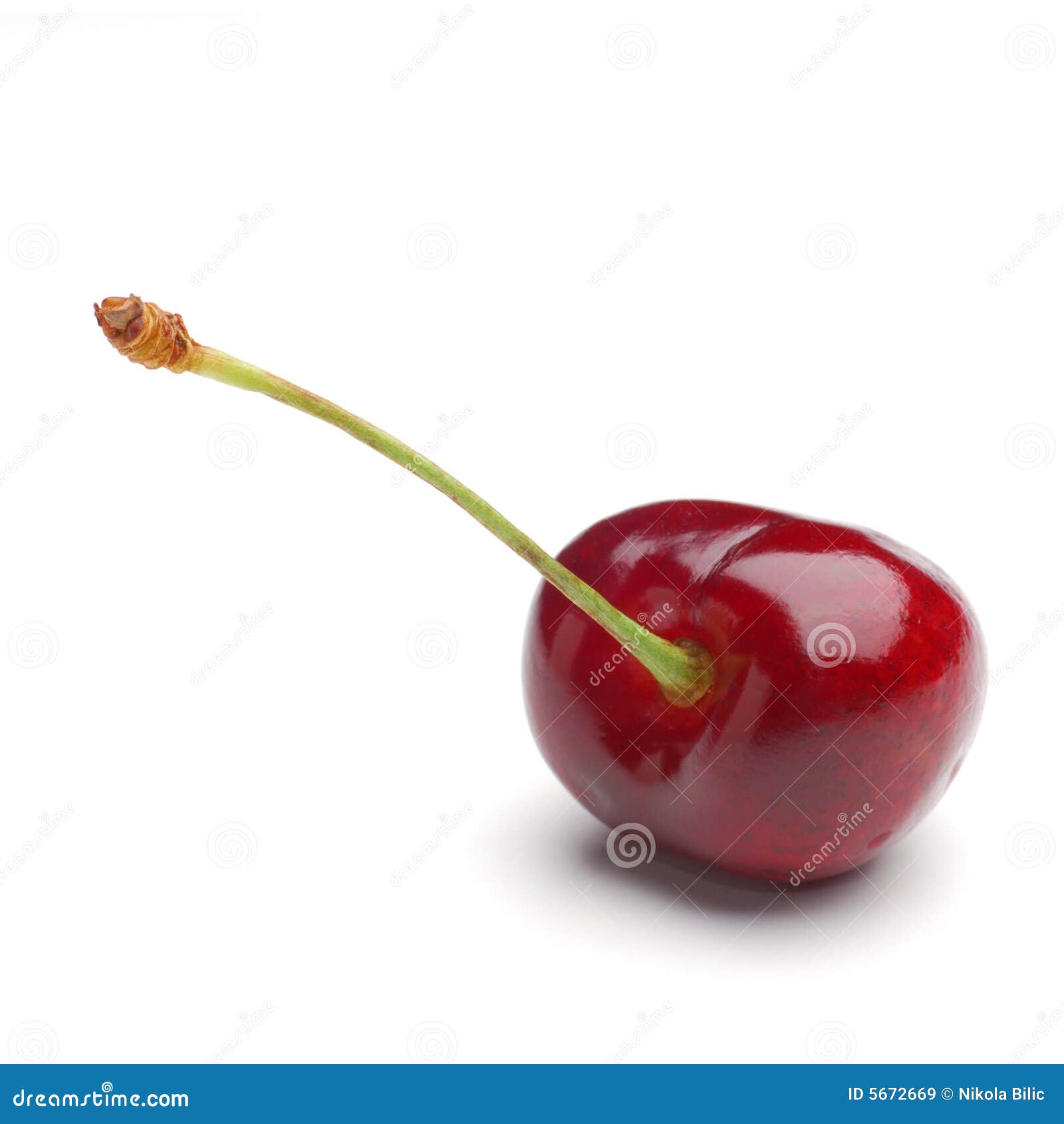 Cherry stock image. Image of juicy, healthy, fresh, stem 5672669