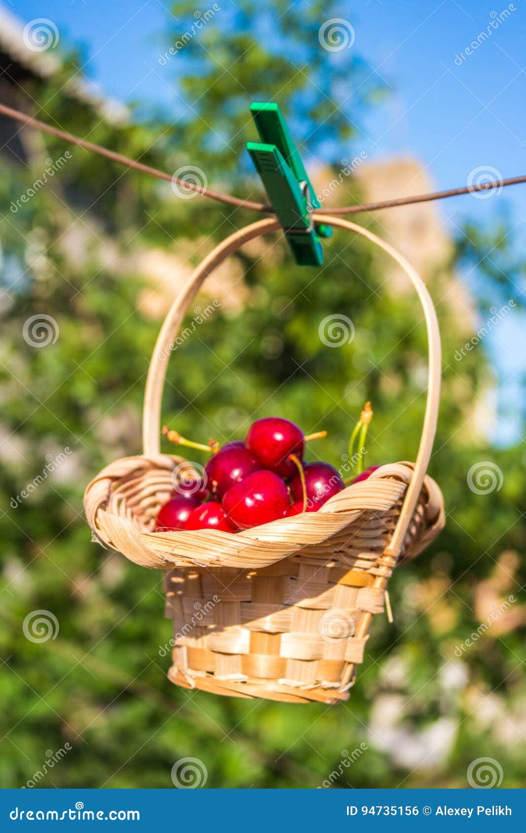 Cherry in a Basket is Hanging on Clothespin Stock Photo Image of
