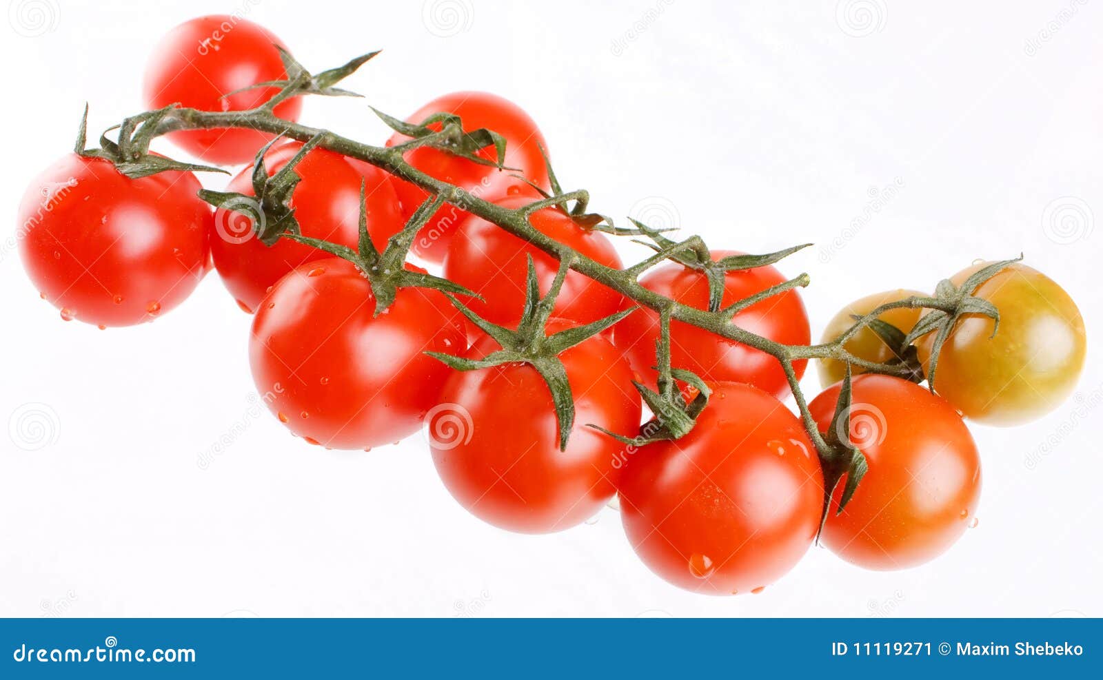 Cherry Berry Tomatoes stock image. Image of macro, single 11119271