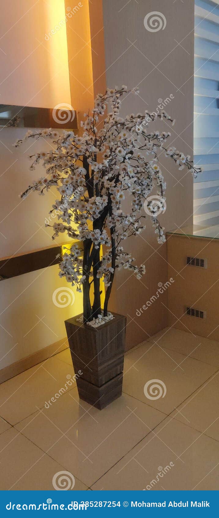 Cherry Blossom Art for Office Interior Design Stock Photo Image of