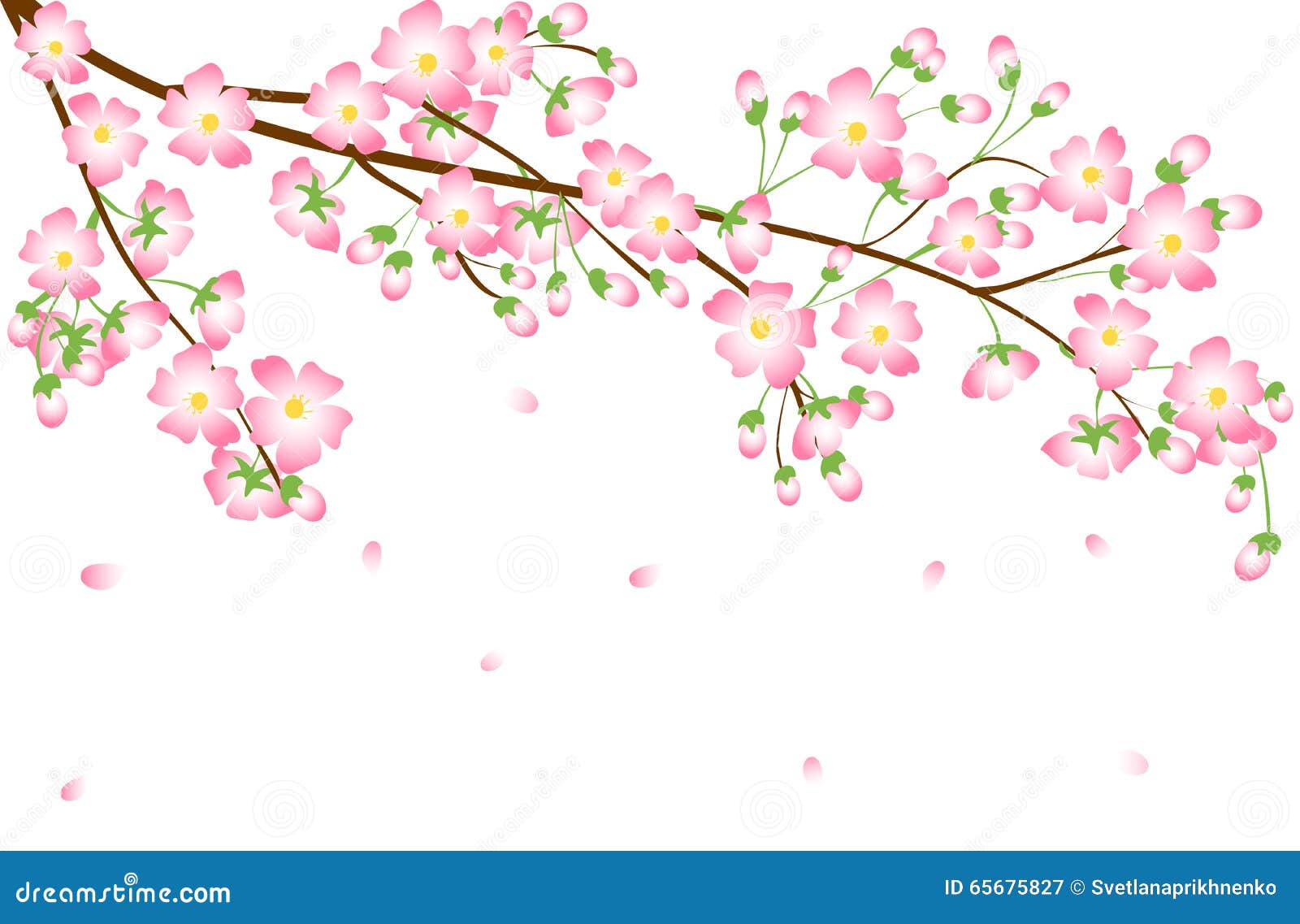 Cherry blossom branch stock vector. Illustration of decoration 65675827