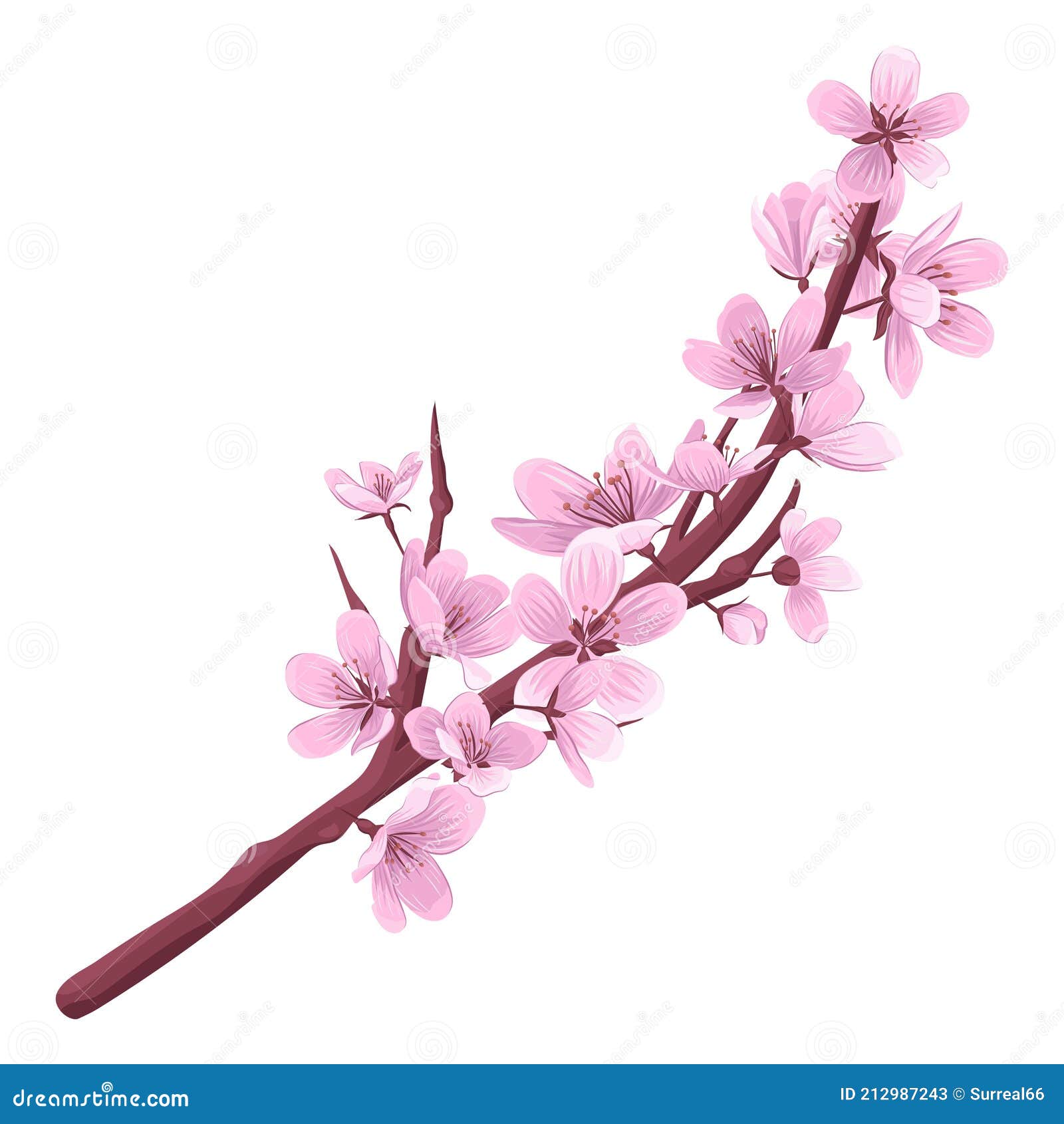 Cherry Blossom Branch Vector Illustration Stock Vector Illustration