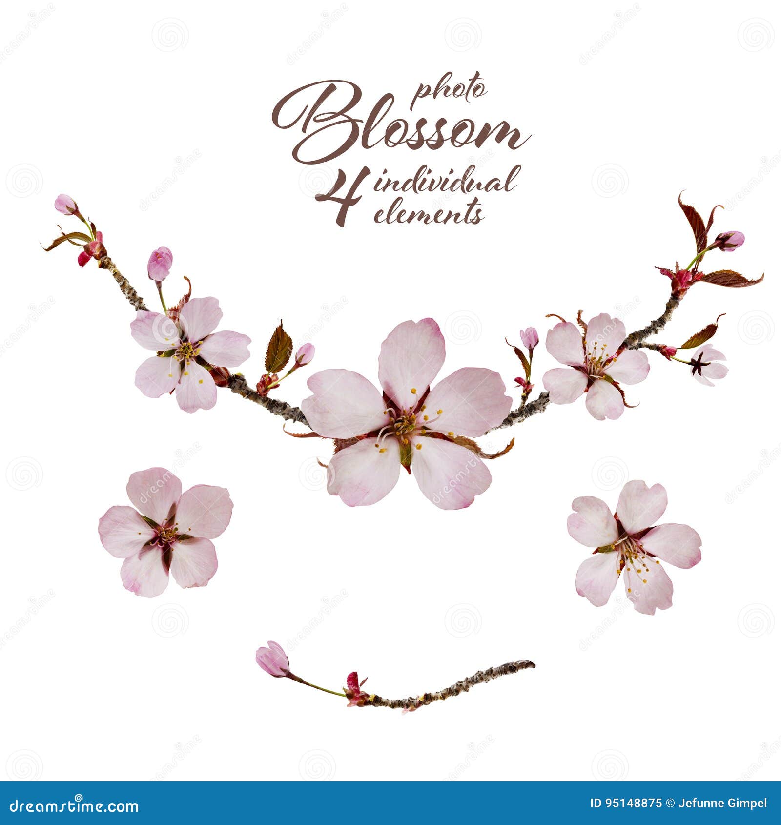Spring Blossom Design Stock Photo, Picture And Royalty Free Image