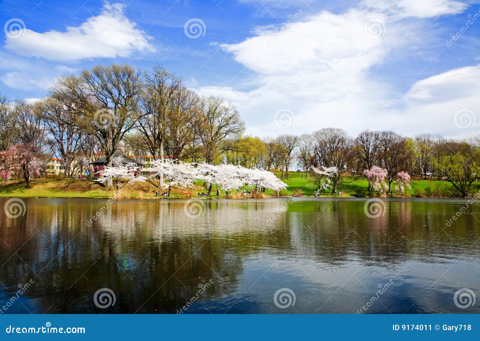 The Cherry Blossom Festival in New Jersey Stock Image Image of time