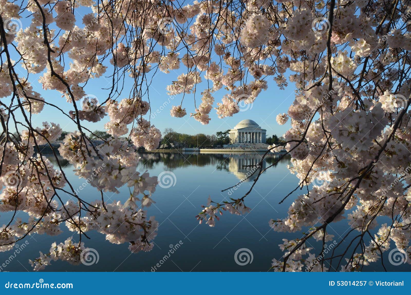 Cherry Blossom Festival. Washington, DC Stock Image Image of historic