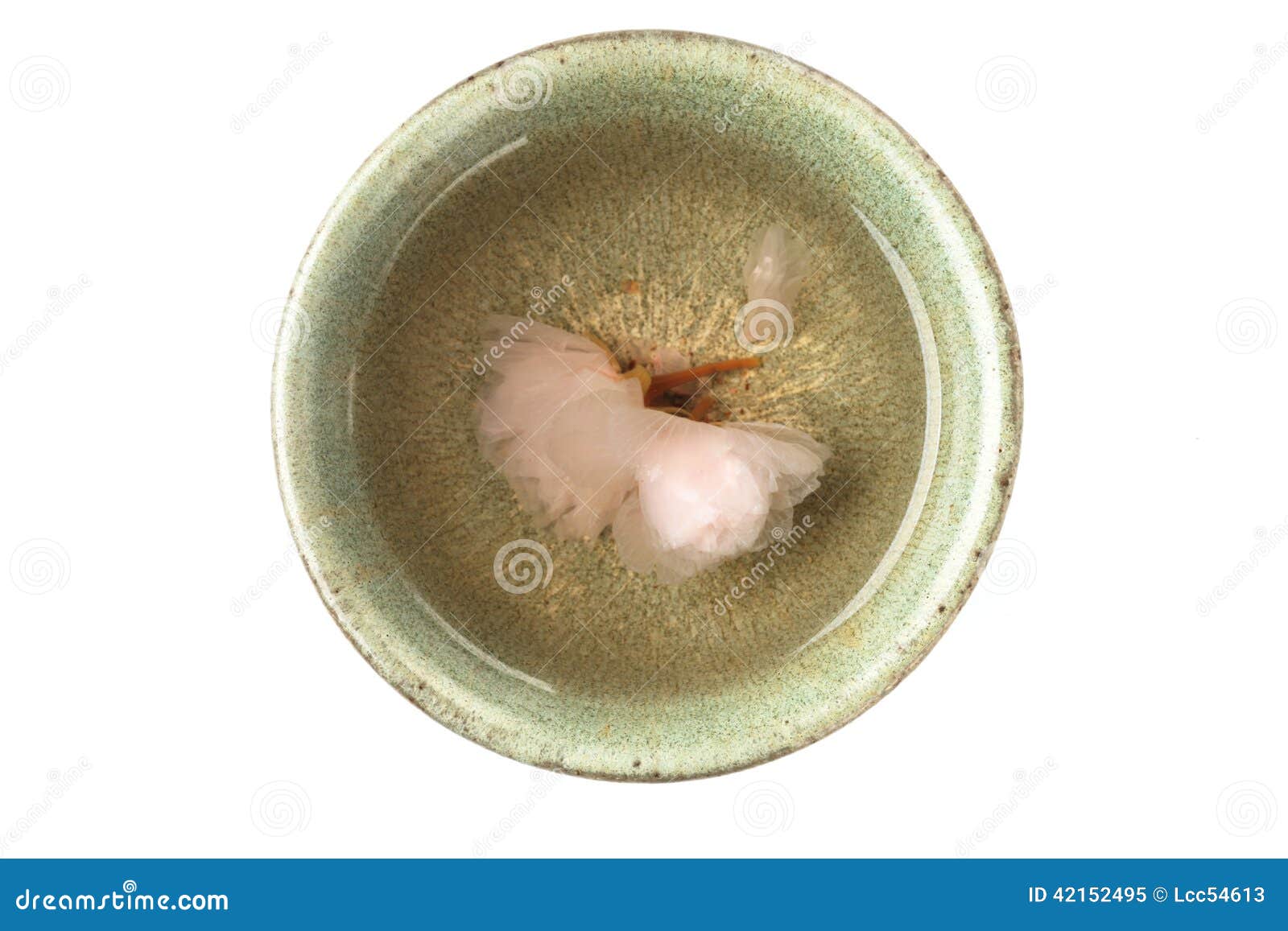 Cherry blossom flower tea stock image. Image of cherry 42152495