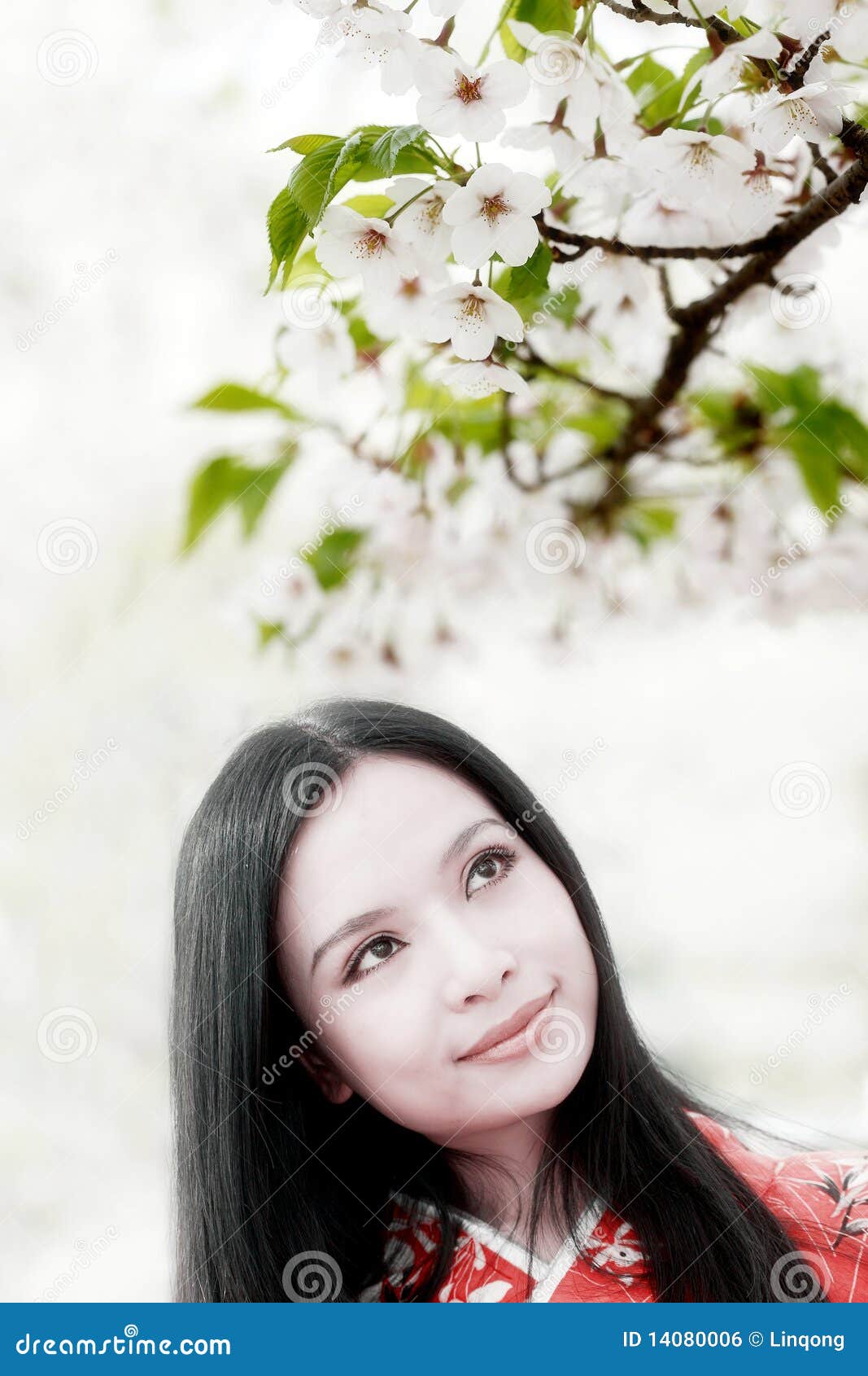 Cherry blossom girl stock photo. Image of flora, exchange 14080006