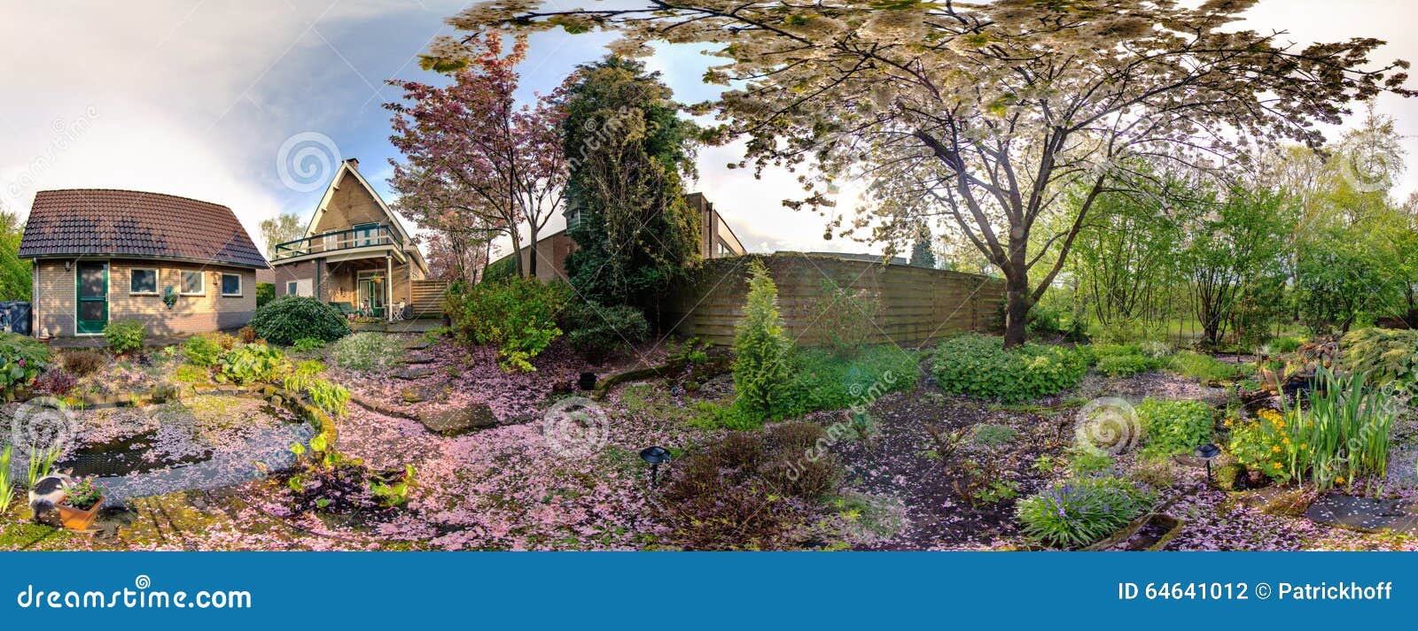 Cherry Blossom Home Garden Panorama Stock Photo Image Of Tree