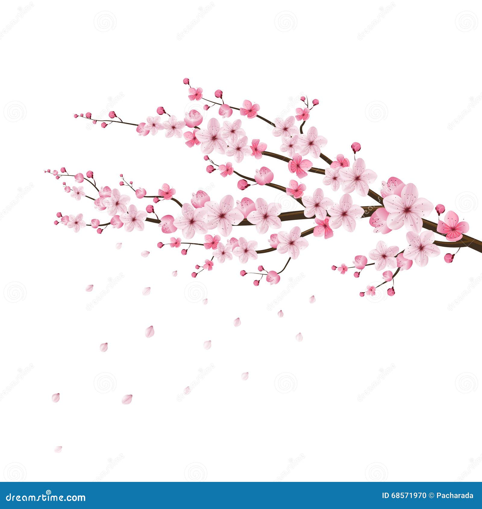 cherry blossom realistic , sakura, japan