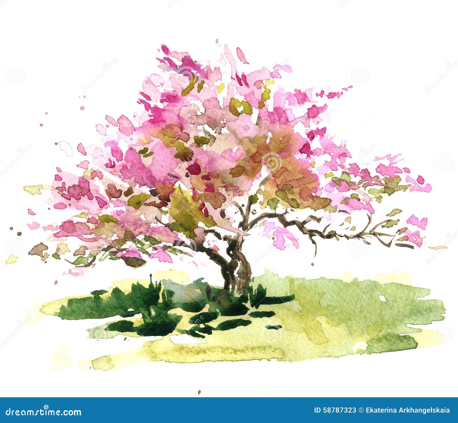 Hand sketch tree flowering cherry Royalty Free Vector Image