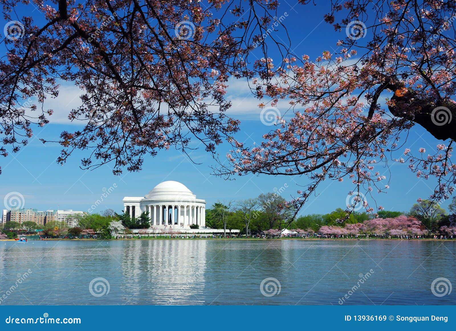 Cherry Blossom, Washington DC Stock Image Image of jefferson, history