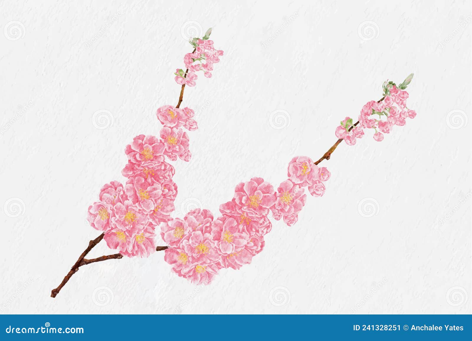 Peach Blossom Images – Browse 167,379 Stock Photos, Vectors, and Video