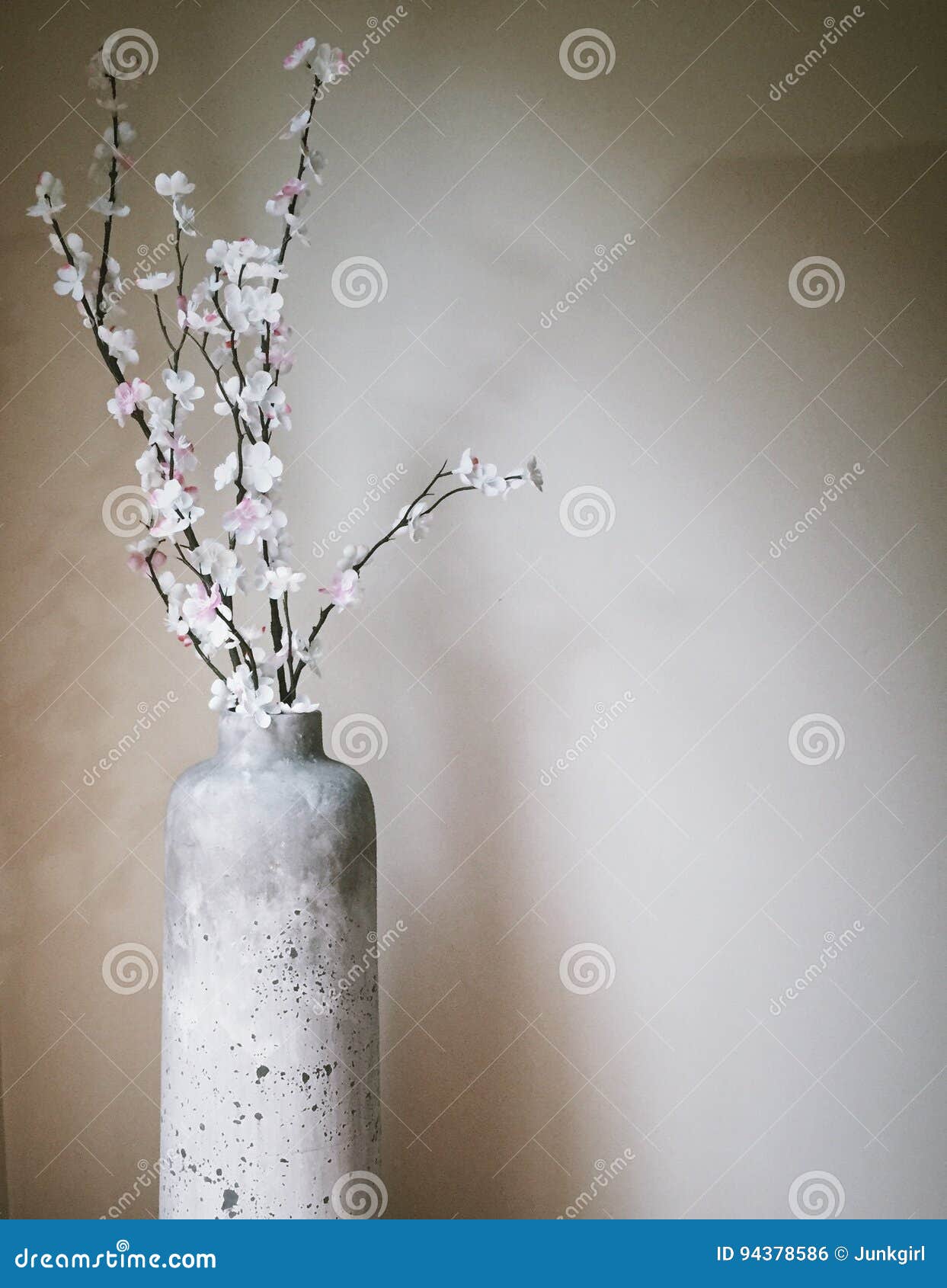 Cherry Blossoms Arranged in a Vase Stock Photo Image of live, earthy