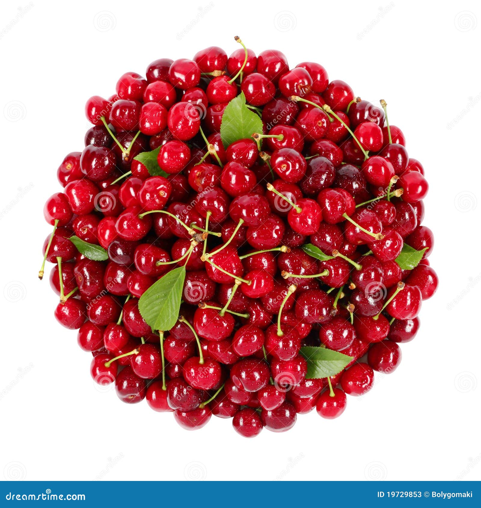 Cherry bunch stock image. Image of summer, pollination 19729853