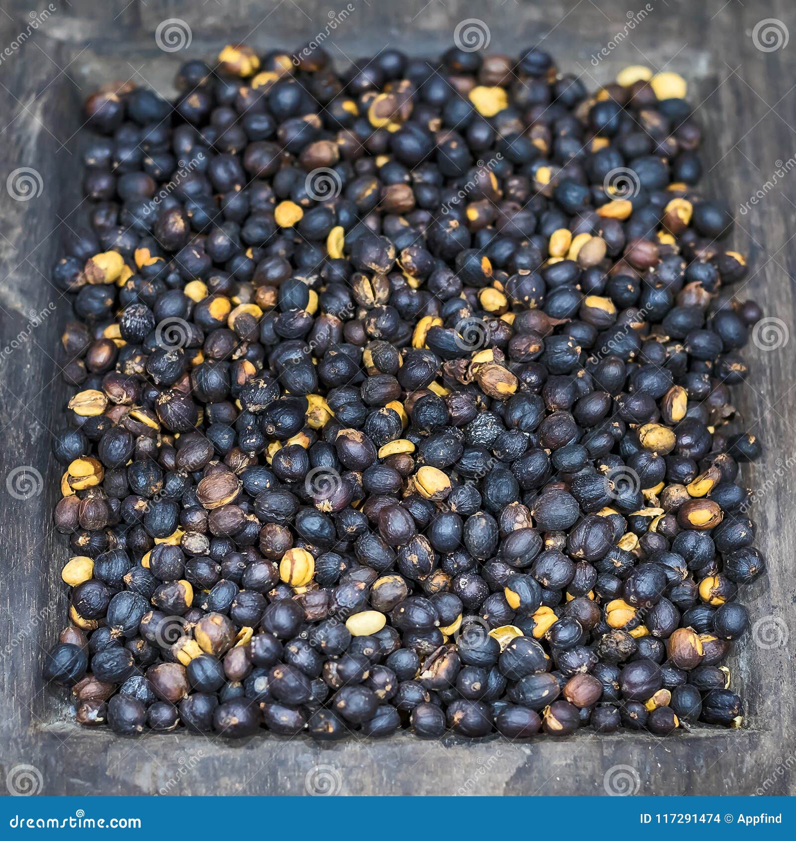 Cherry coffee dry. stock photo. Image of brown, farm 117291474