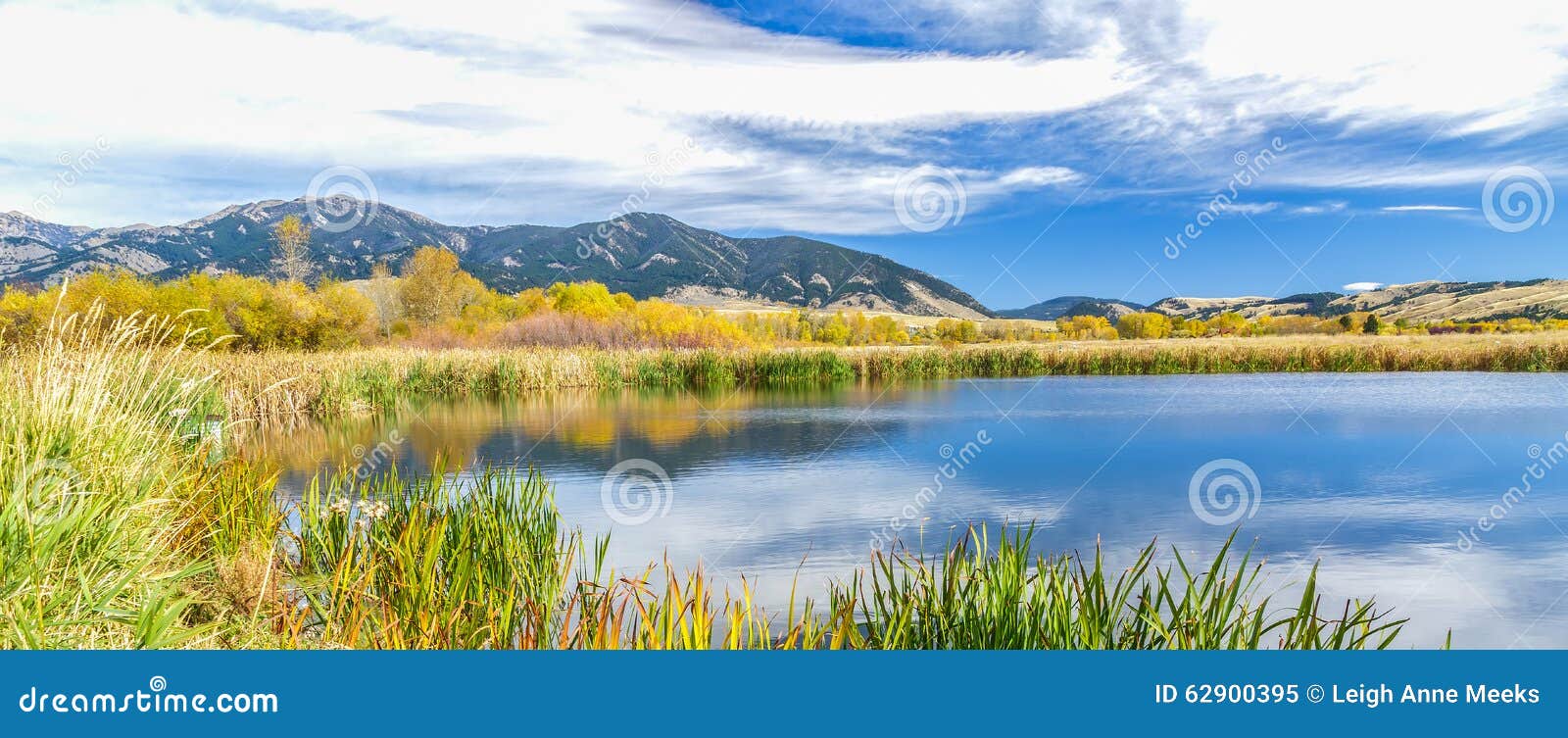 cherry creek preserve