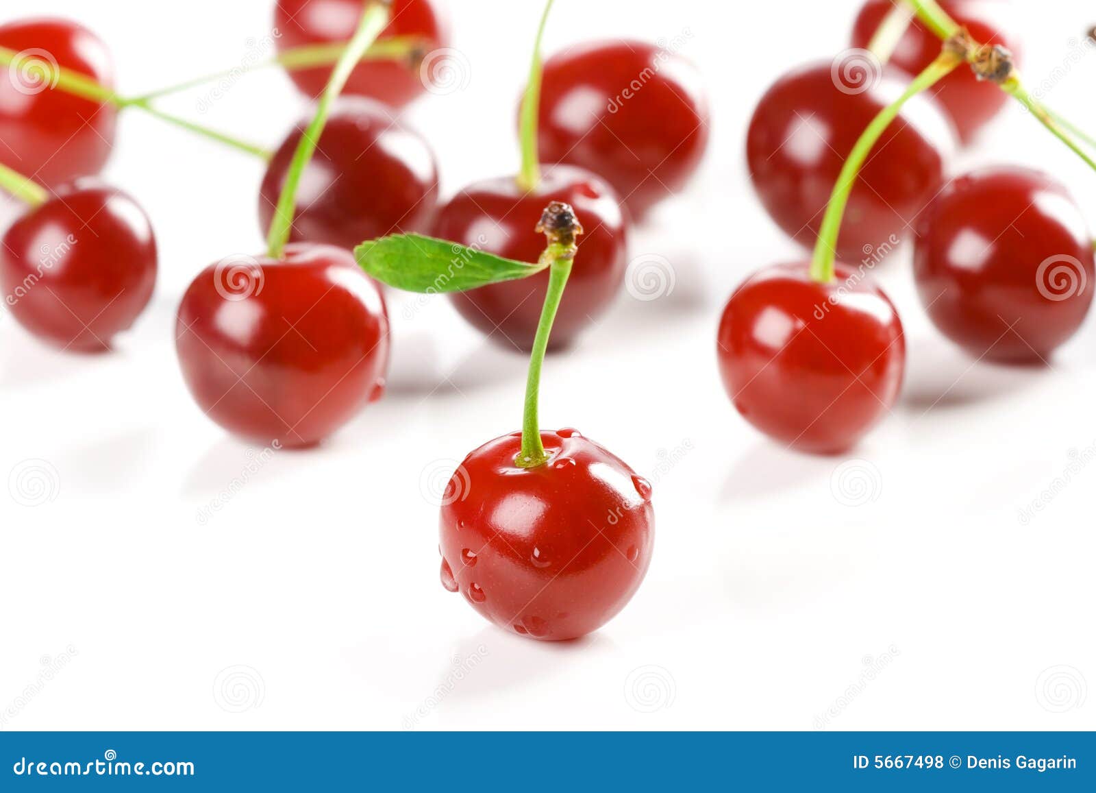 Cherry dance stock photo. Image of leaf, juicy, color 5667498