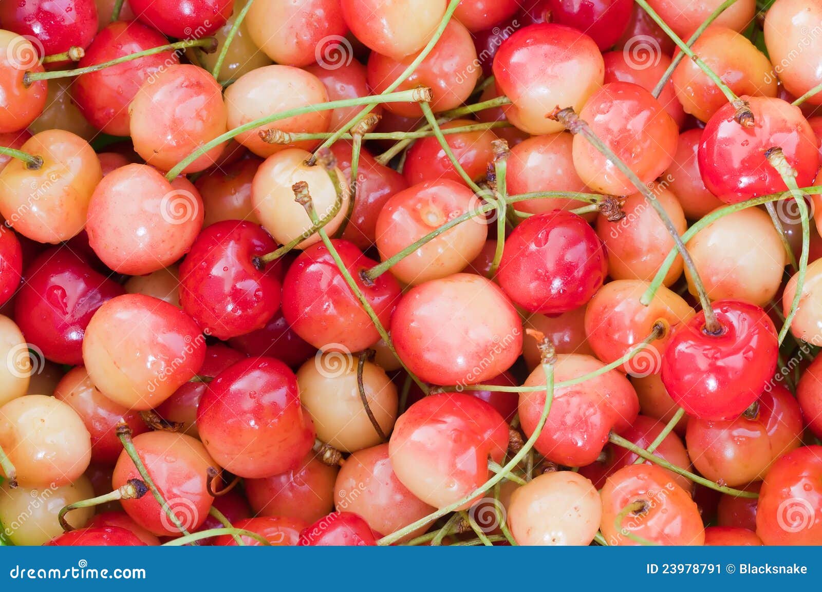 Cherry Fruit Healthy Diet Food Stock Image Image of slim, healthy 23978791