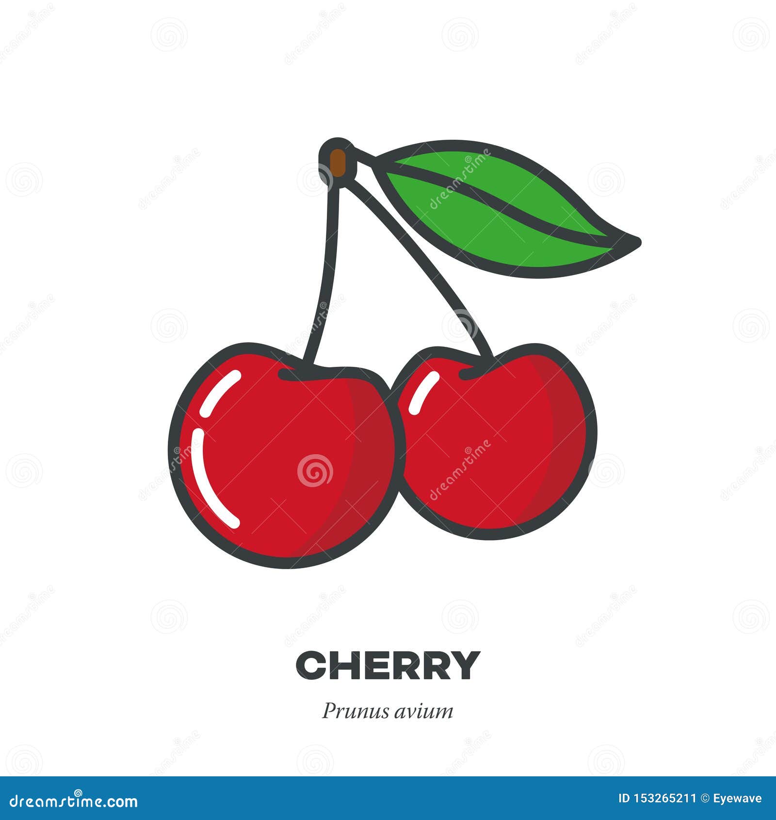Cherry Fruit Icon, Filled Outline Style Vector Stock Vector Illustration of food, prunus