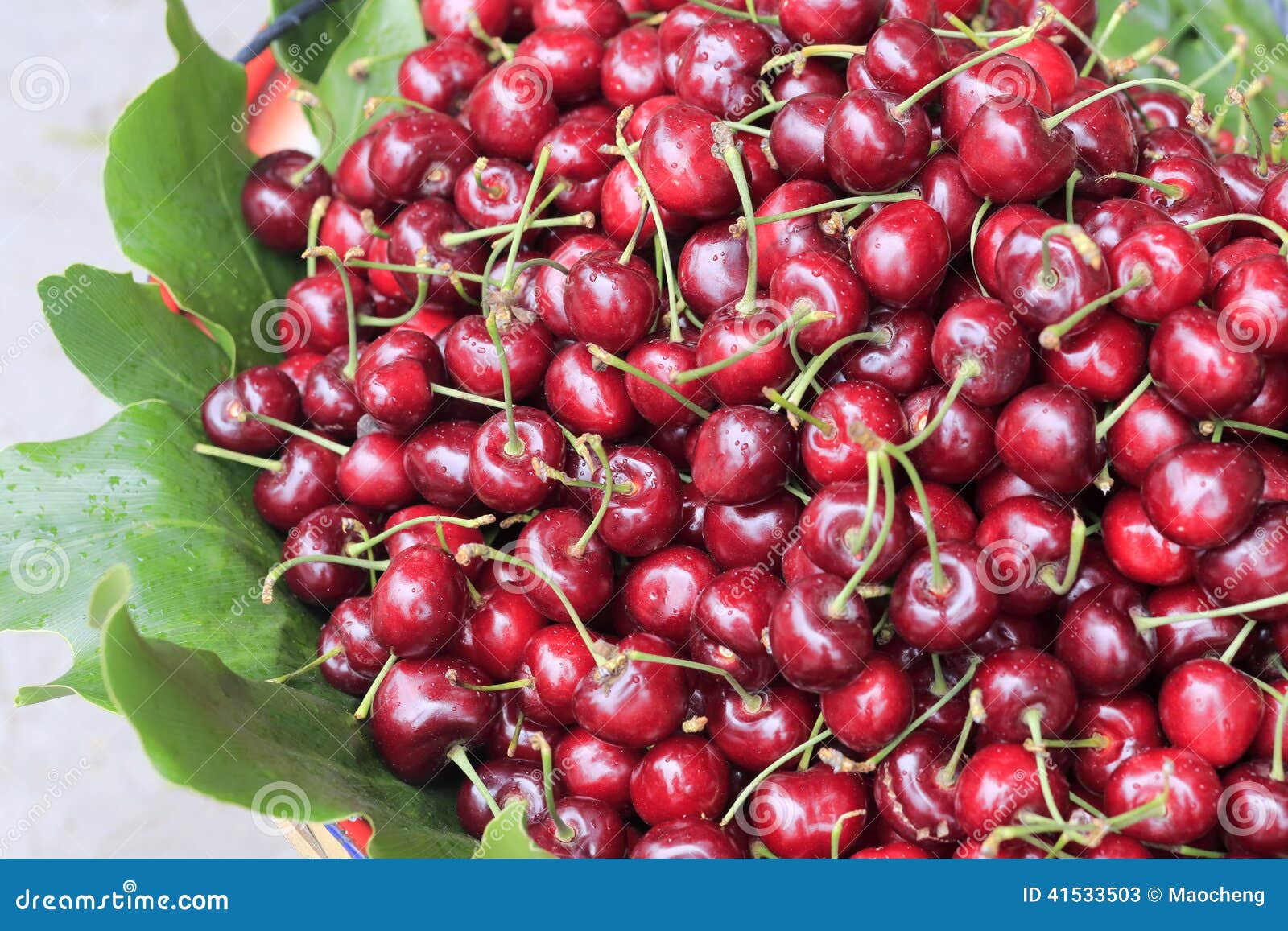 Cherry fruit stock image. Image of cherries, succulent 41533503