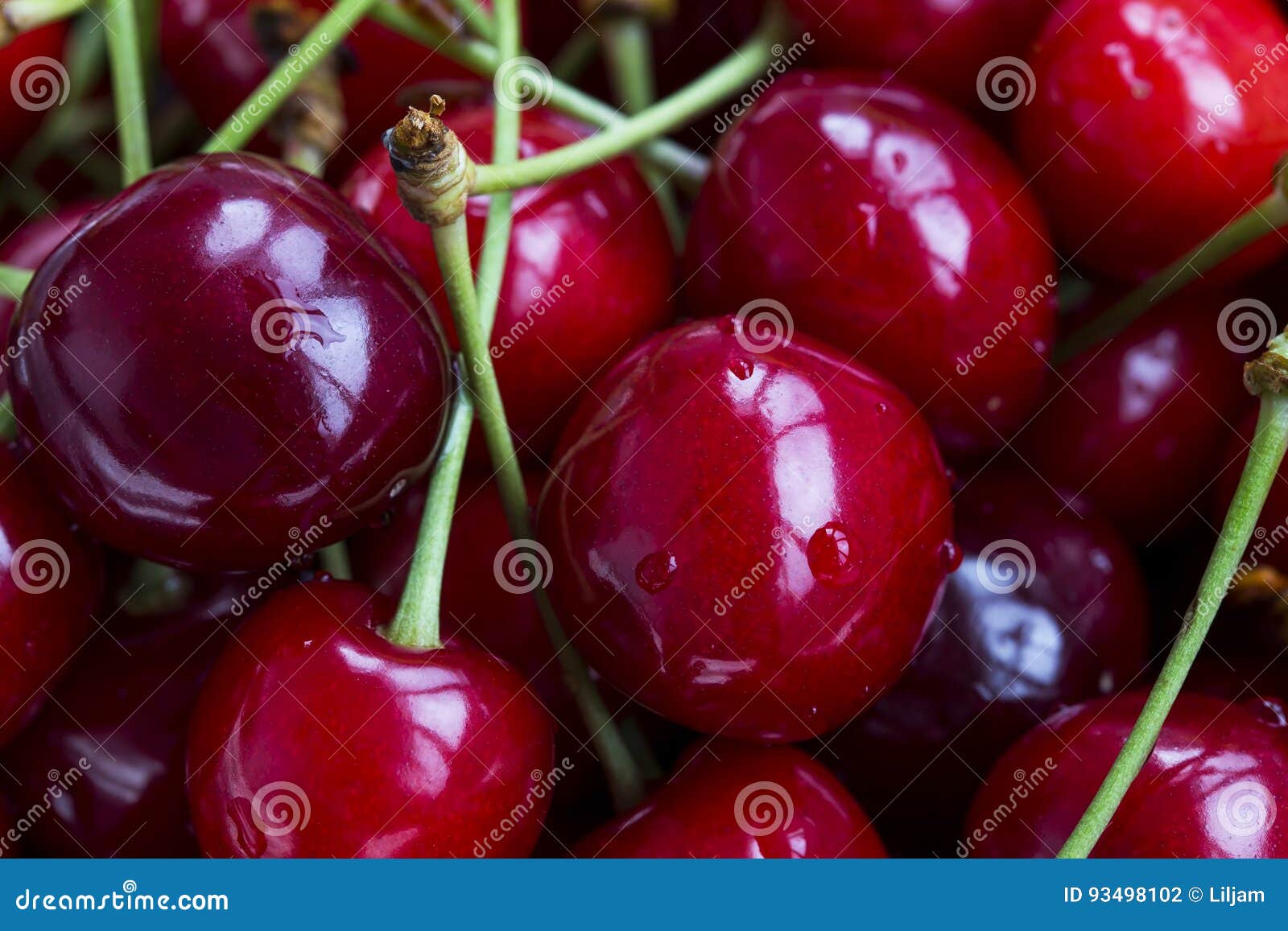 Cherry fruits closeup stock photo. Image of fruit, fresh 93498102