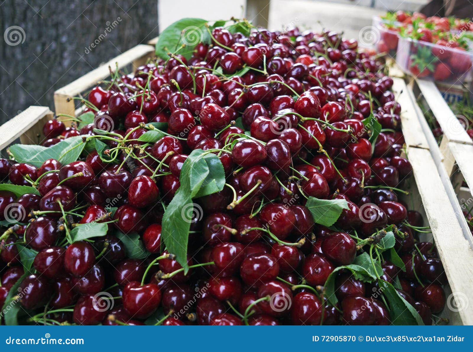 Cherry stock photo. Image of cherries, food, sale, fruit 72905870