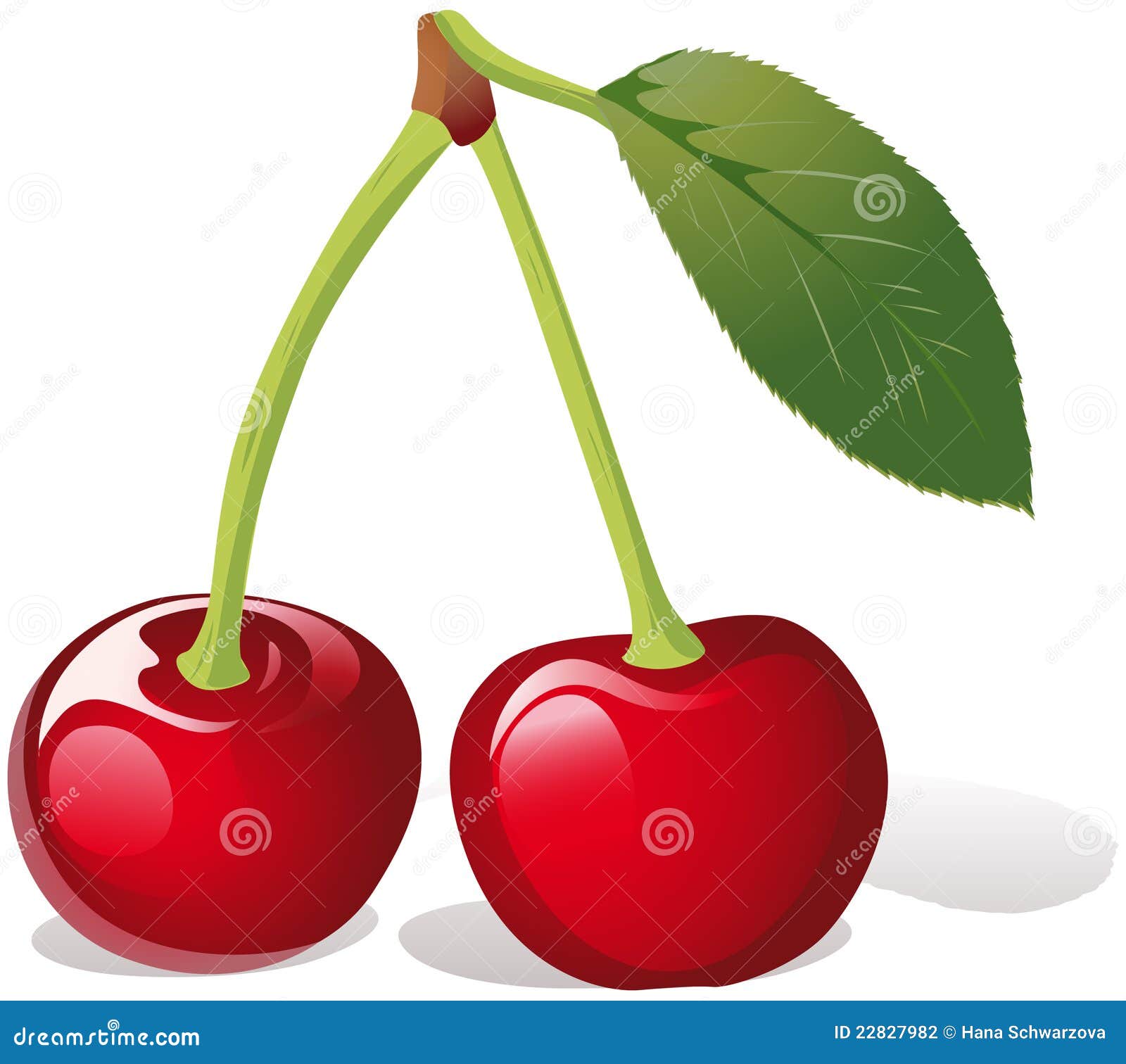 clipart kirschen - photo #28