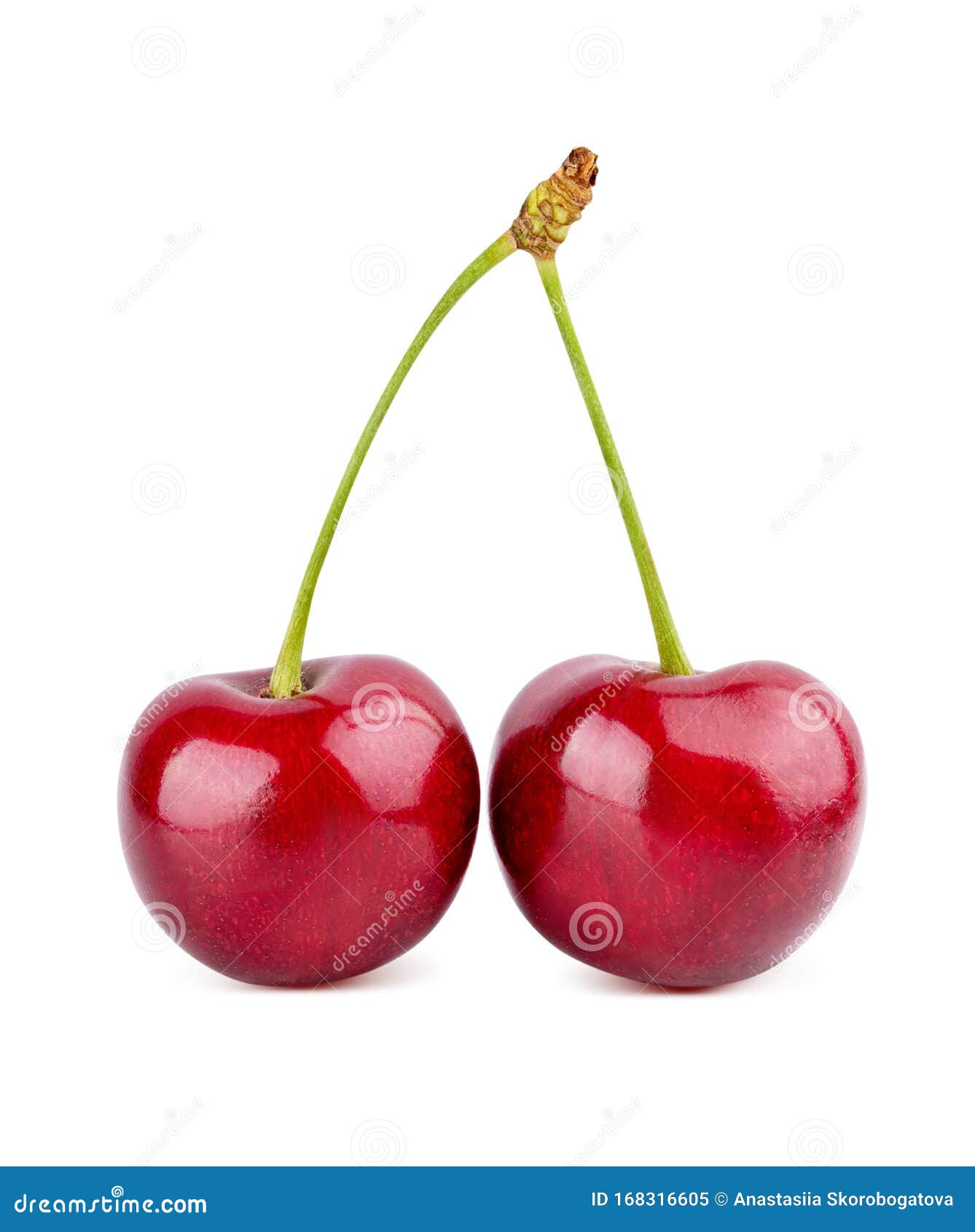 Cherry Isolated On White Background Stock Image - Image of close ...