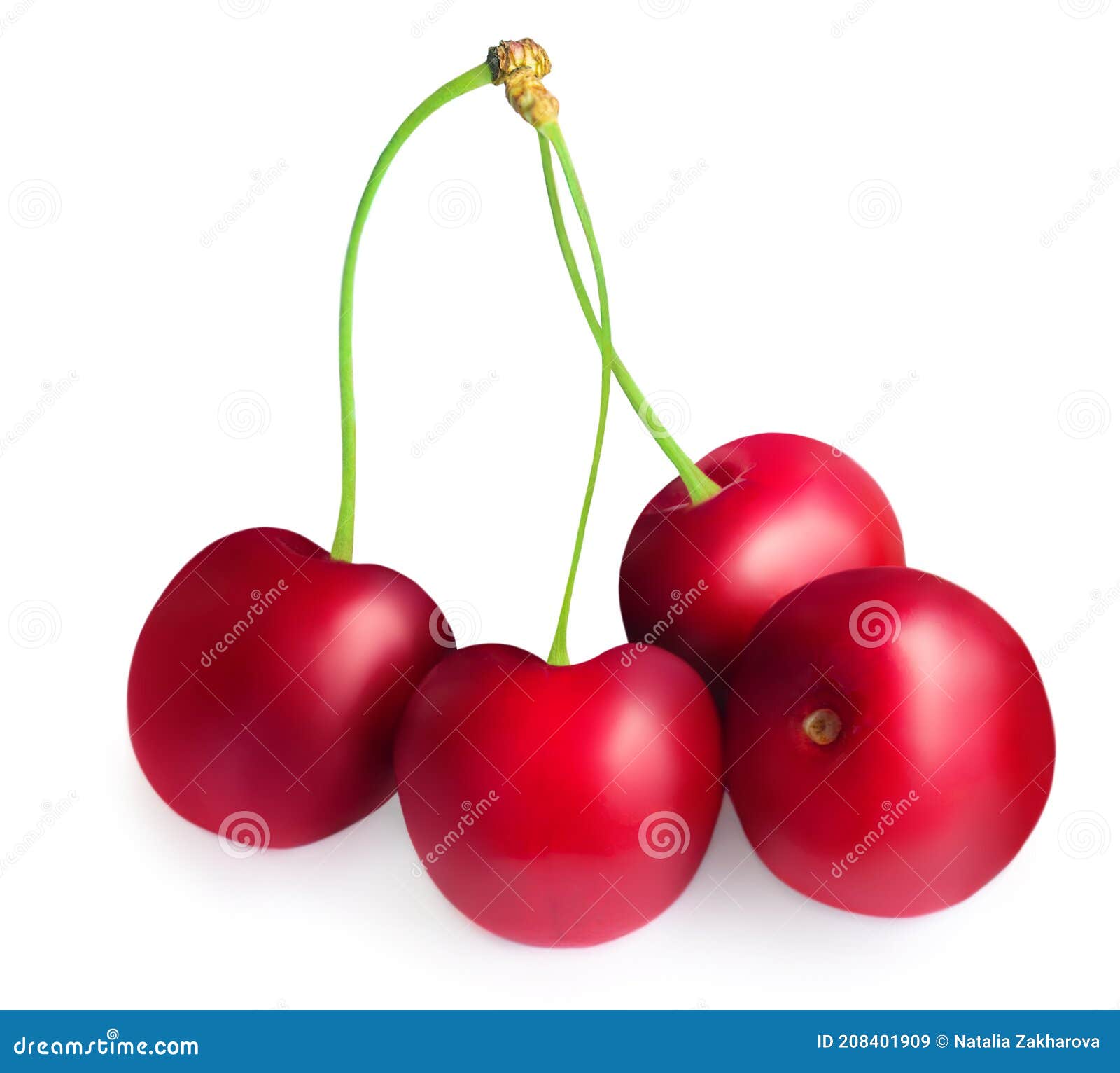 Cherry Isolated on White Background. Fresh Cherry Berry Closeup Stock
