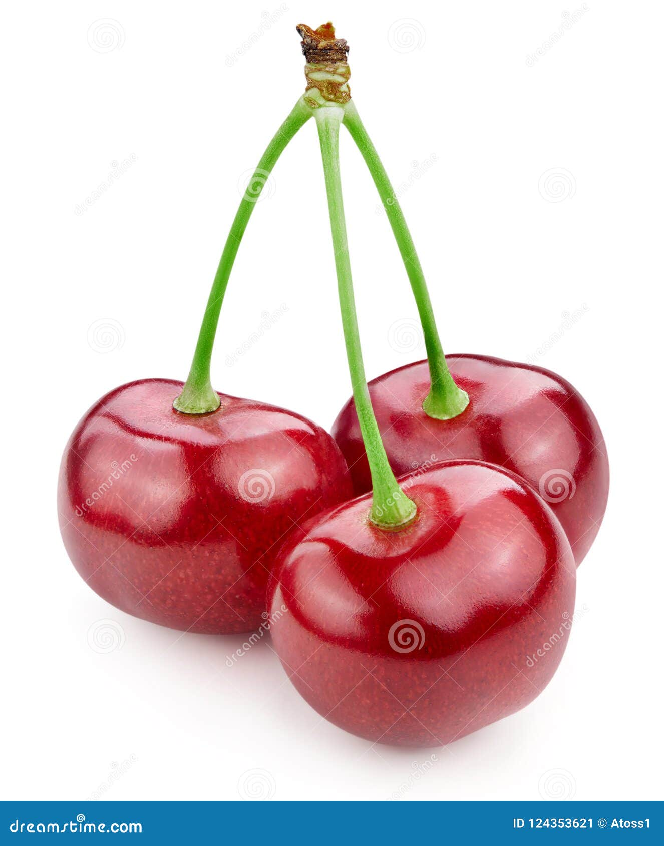 Cherry isolated on white stock image. Image of frond - 124353621