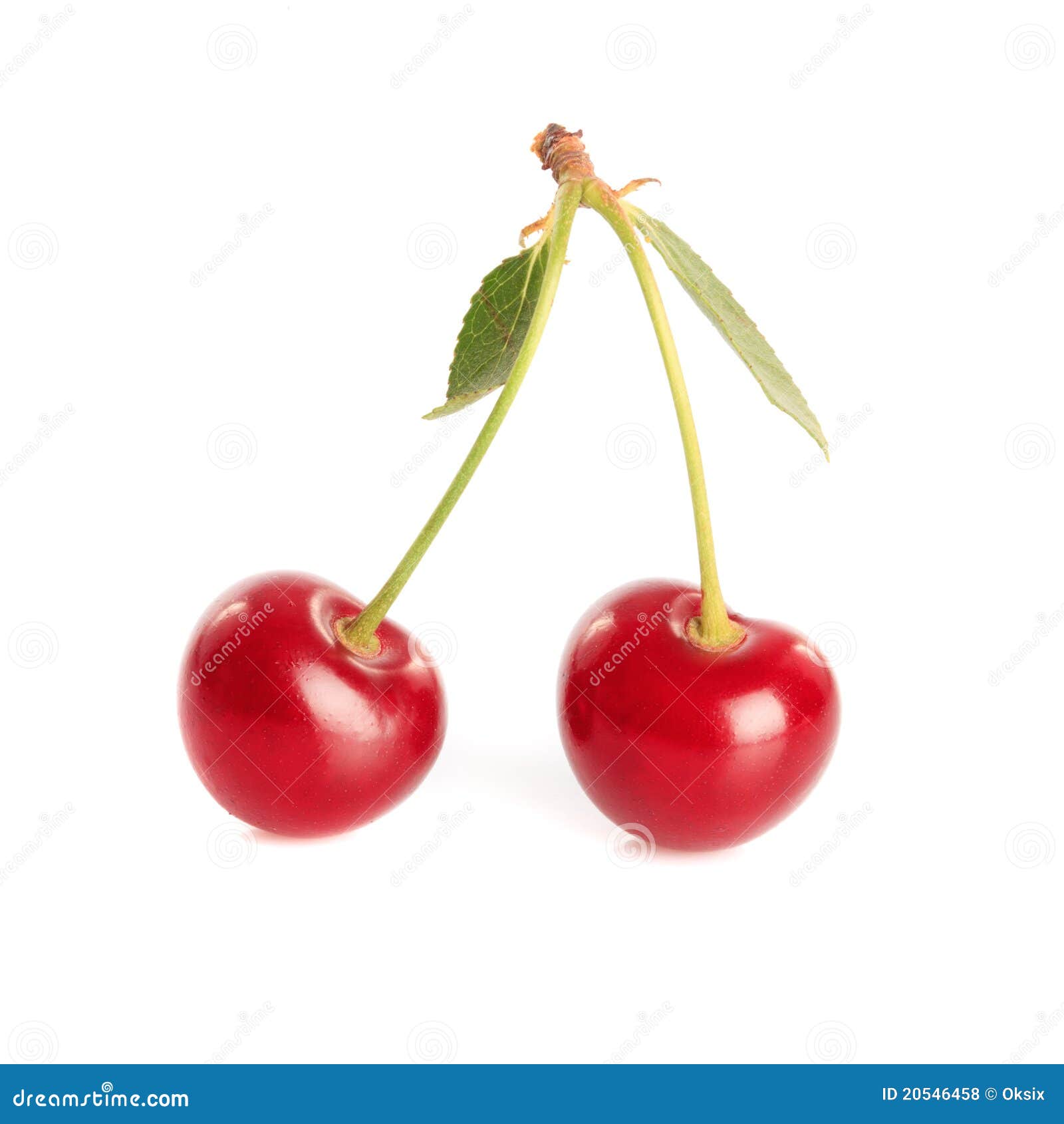 Cherry pair stock photo. Image of organic, sweets, white - 20546458