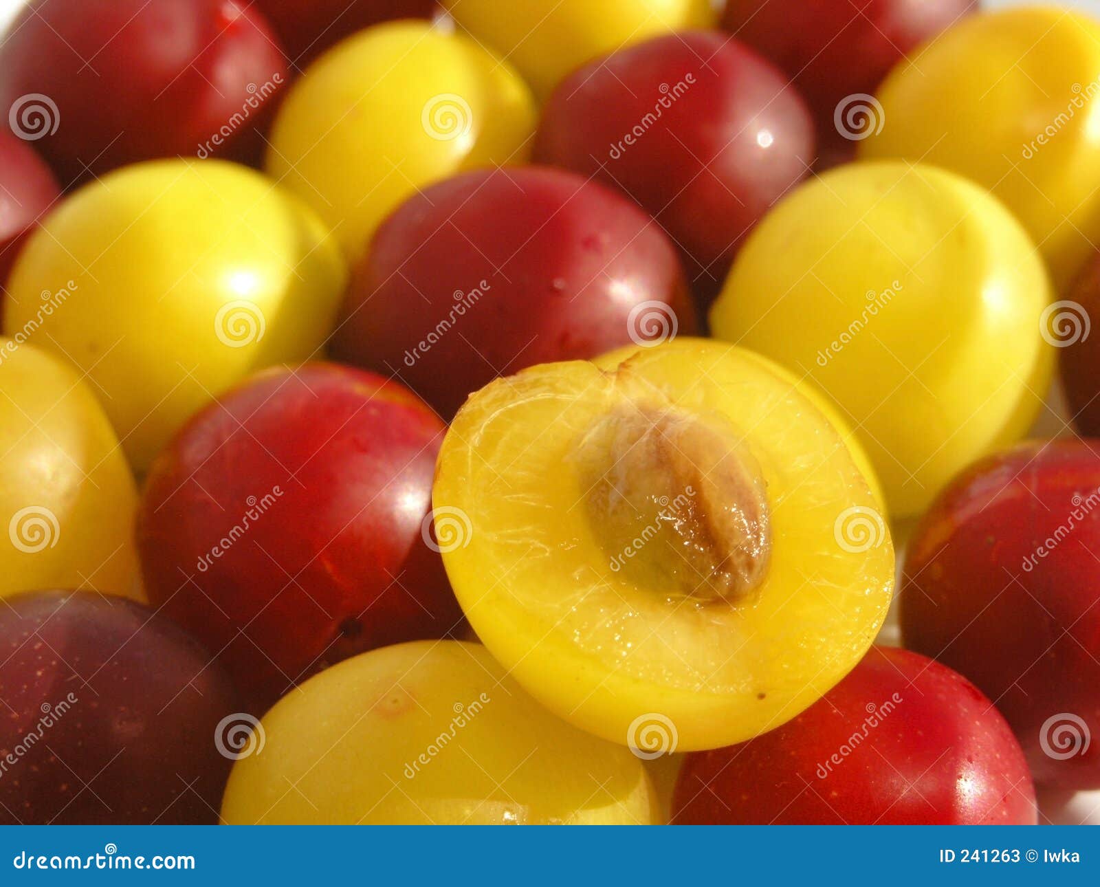 cherry plum