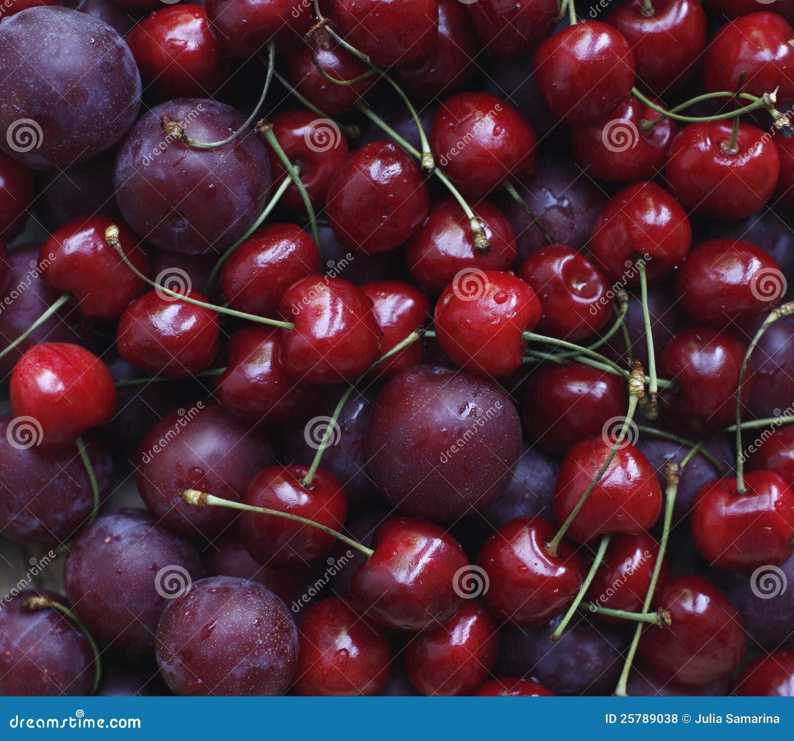 Cherry and Plum stock photo. Image of plum, cherry, food 25789038
