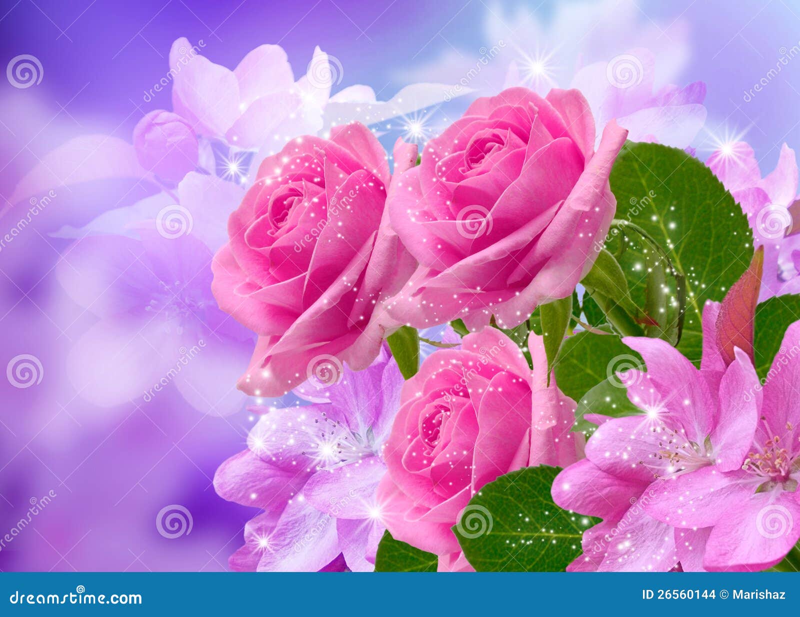Cherry and roses blossom stock illustration. Illustration of design