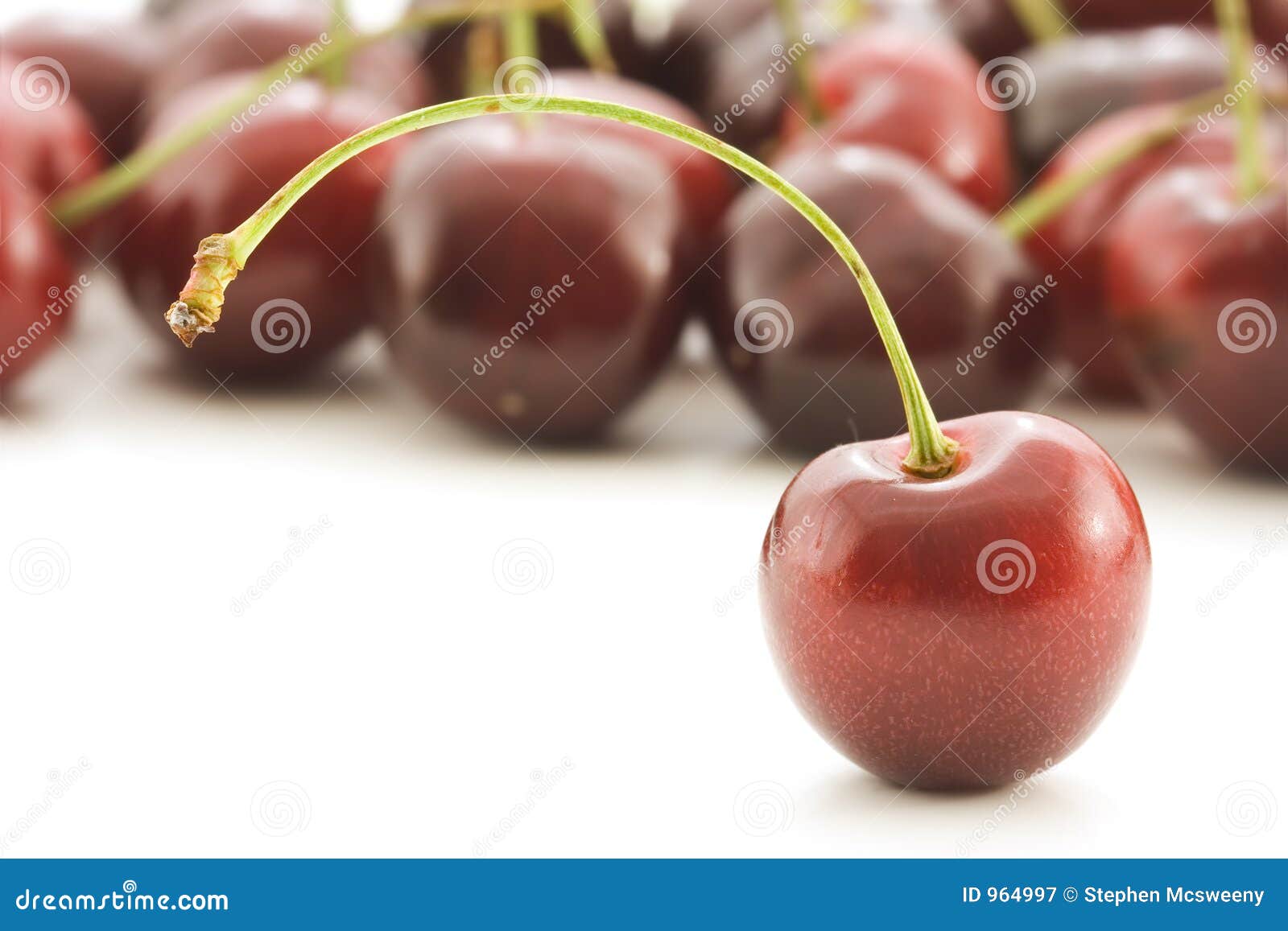 Cherry stand stock image. Image of color, vitamin, green 964997