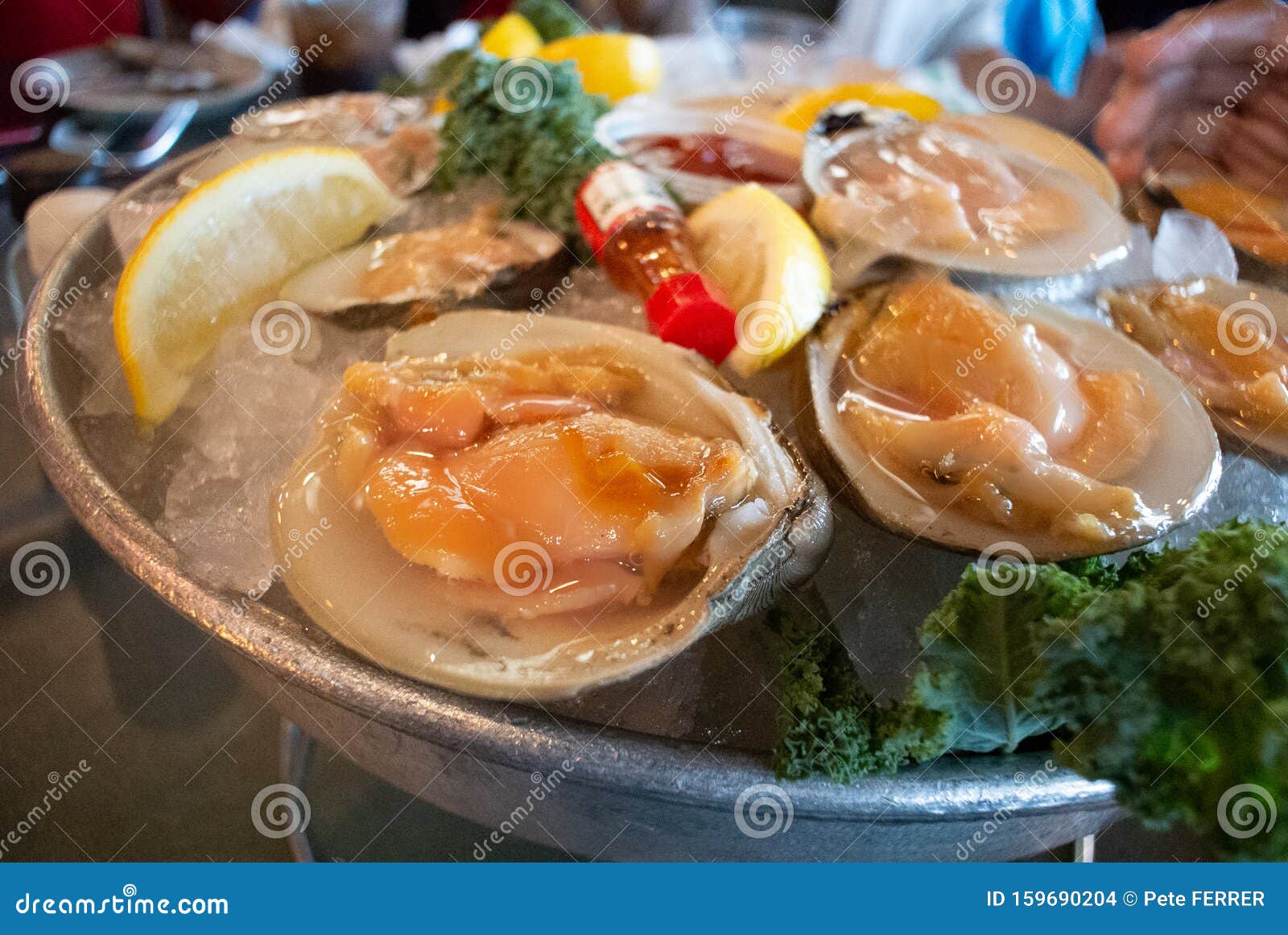 Cherry Stone Clams stock photo. Image of meal, potency 159690204