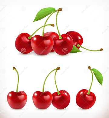 Cherry. Sweet fruit stock vector. Illustration of object - 80452715
