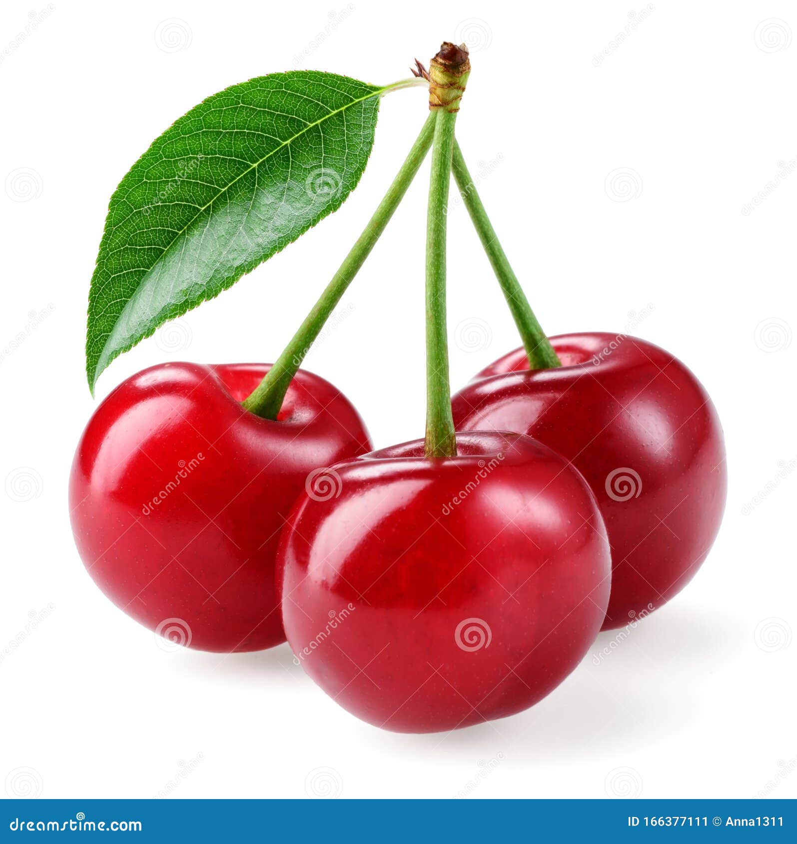 Cherry. Three Berries Isolated on White Background Stock Image - Image ...