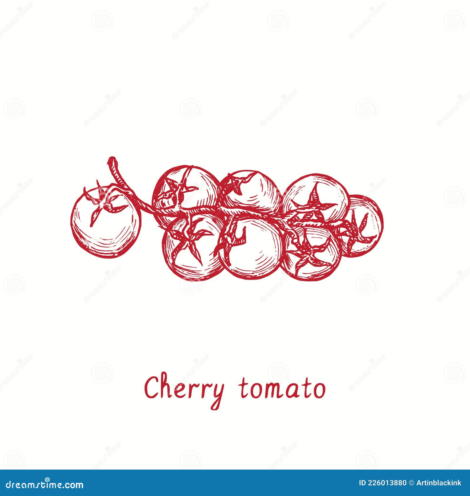 Cherry Tomato. Ink Black and White Doodle Drawing Stock Vector