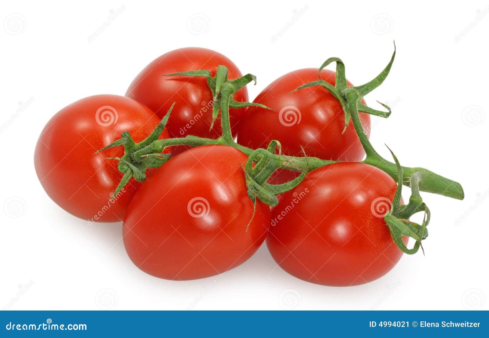 Cherry Tomatoes Sprayed With Water. A Cluster Of Tomato Fruits. Food