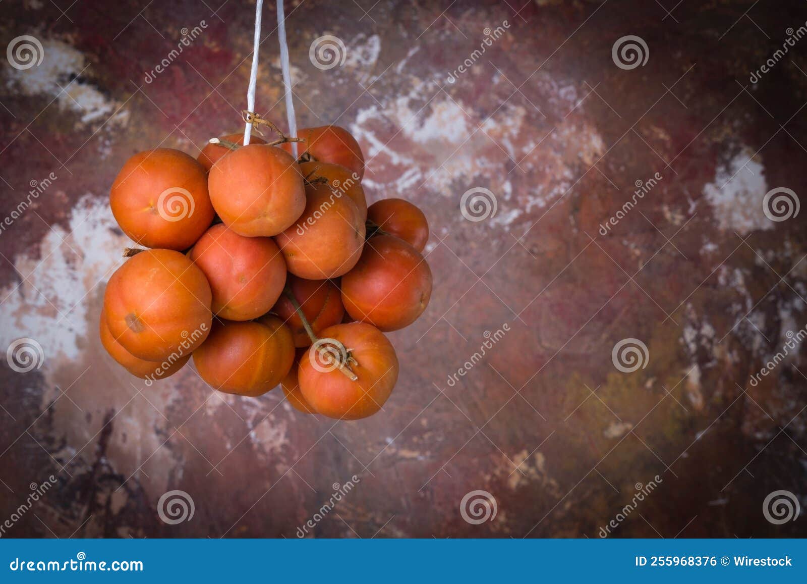 Cherry Tomatoes Hanging for Drying Stock Photo Image of tomatoes