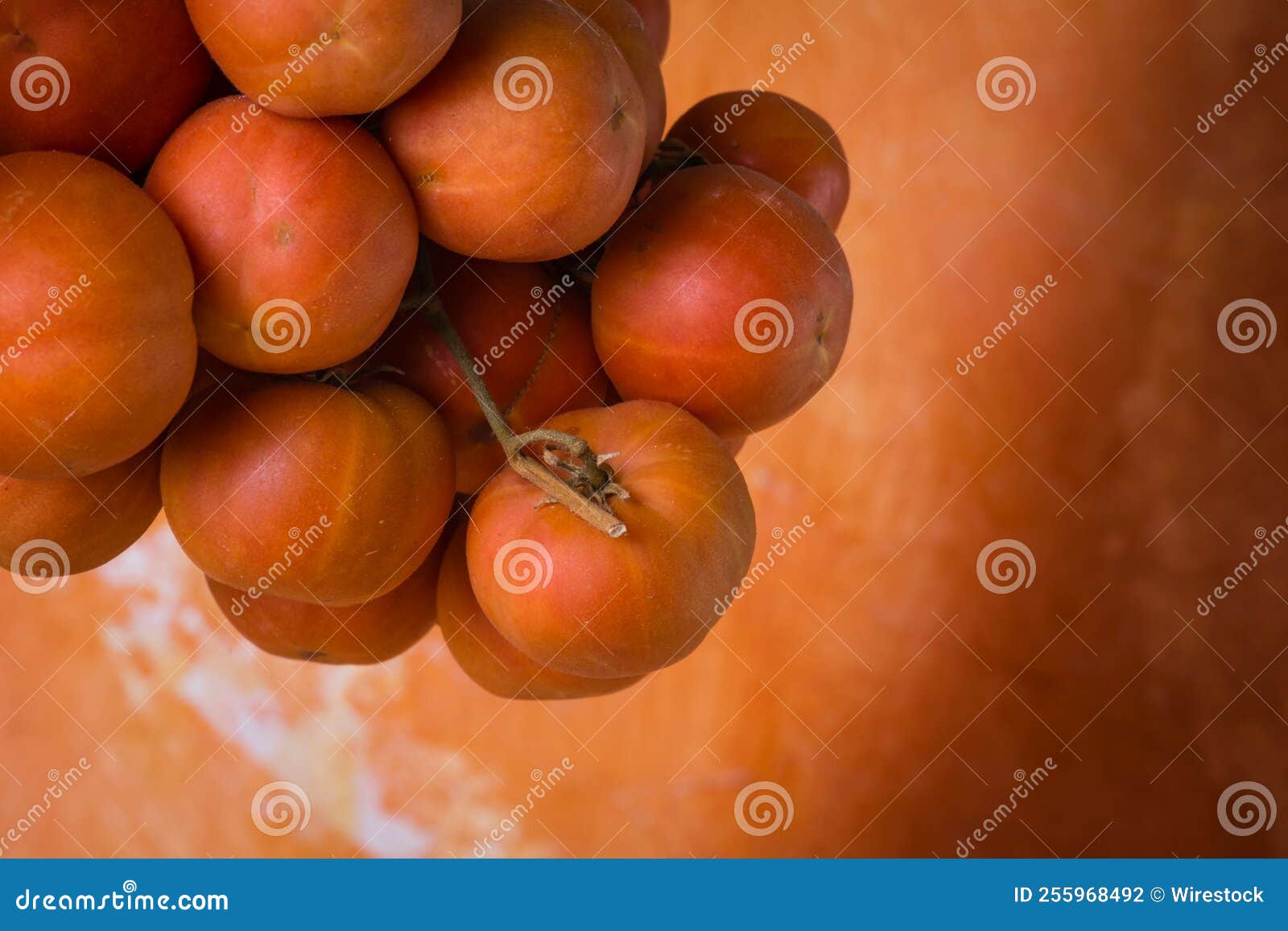 Cherry Tomatoes Hanging for Drying Stock Photo Image of food, drying