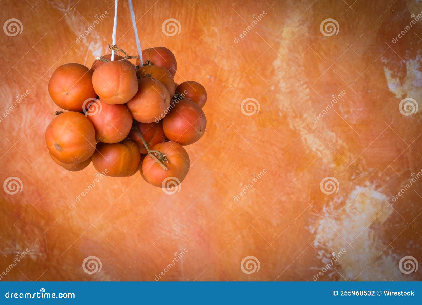 Cherry Tomatoes Hanging for Drying Stock Photo Image of vegan