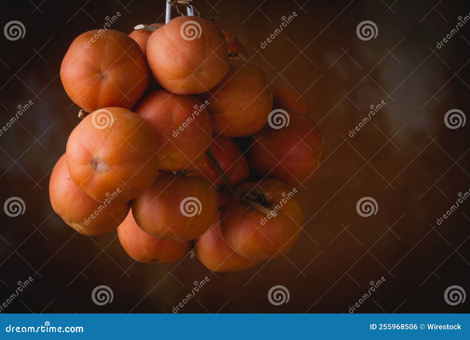 Cherry Tomatoes Hanging for Drying Stock Photo Image of europe, fruit