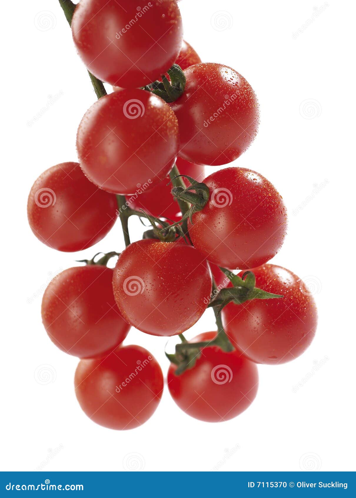 Cherry tomatoes on vine stock photo. Image of tasty, cherry 7115370